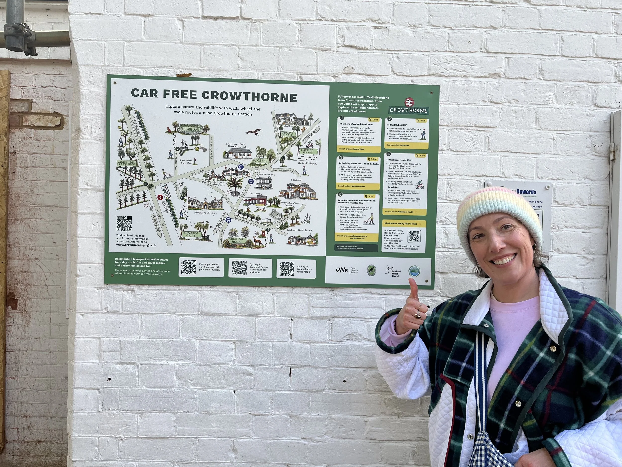 Checking on the map a few months after installation- still looking glorious!