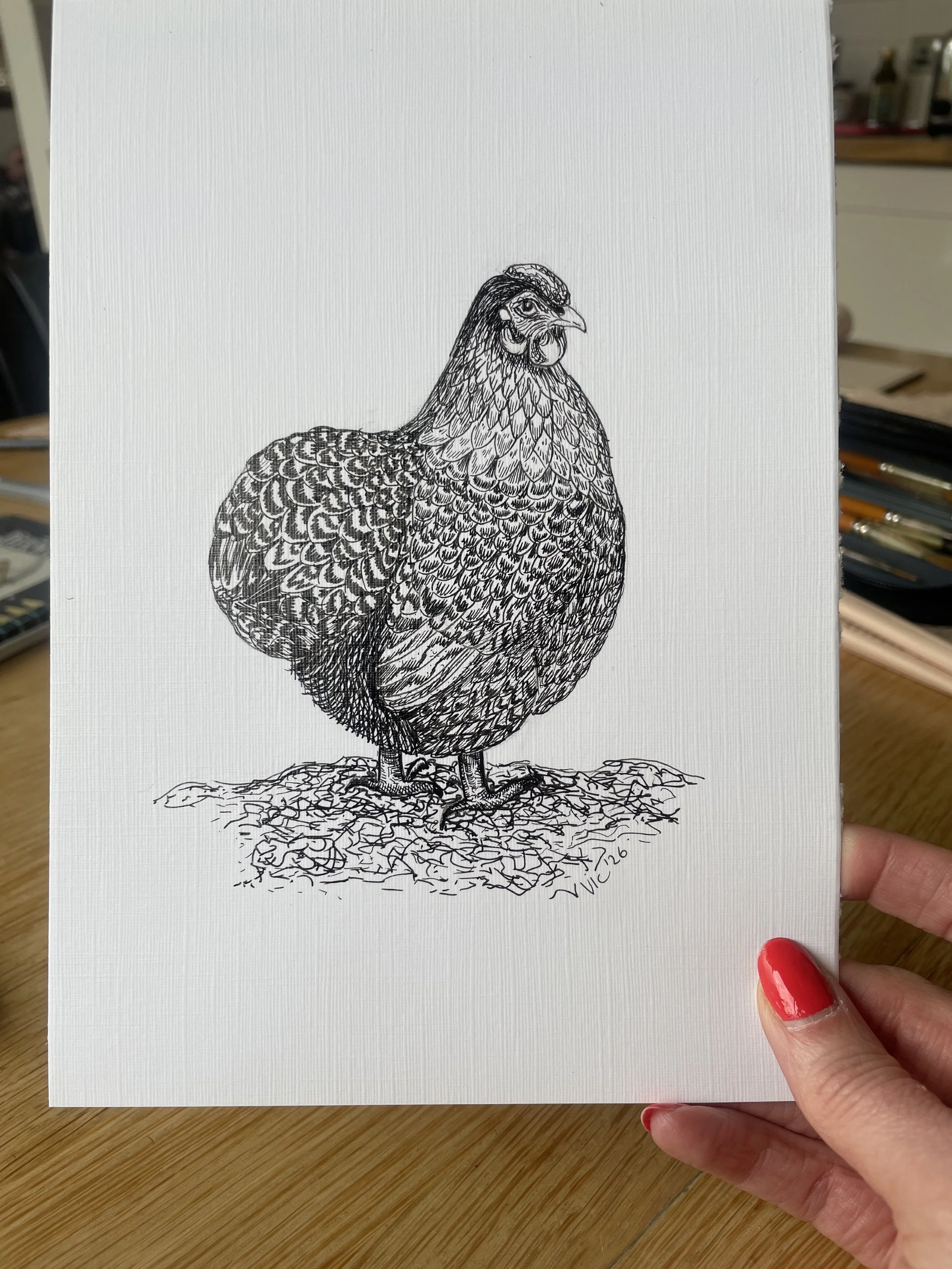 Vic Delaney chicken fine liner drawing
