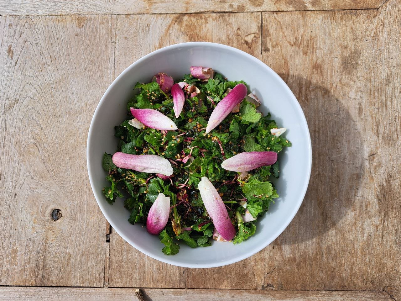 Magnolia - Ribes - Salat - 04.jpg