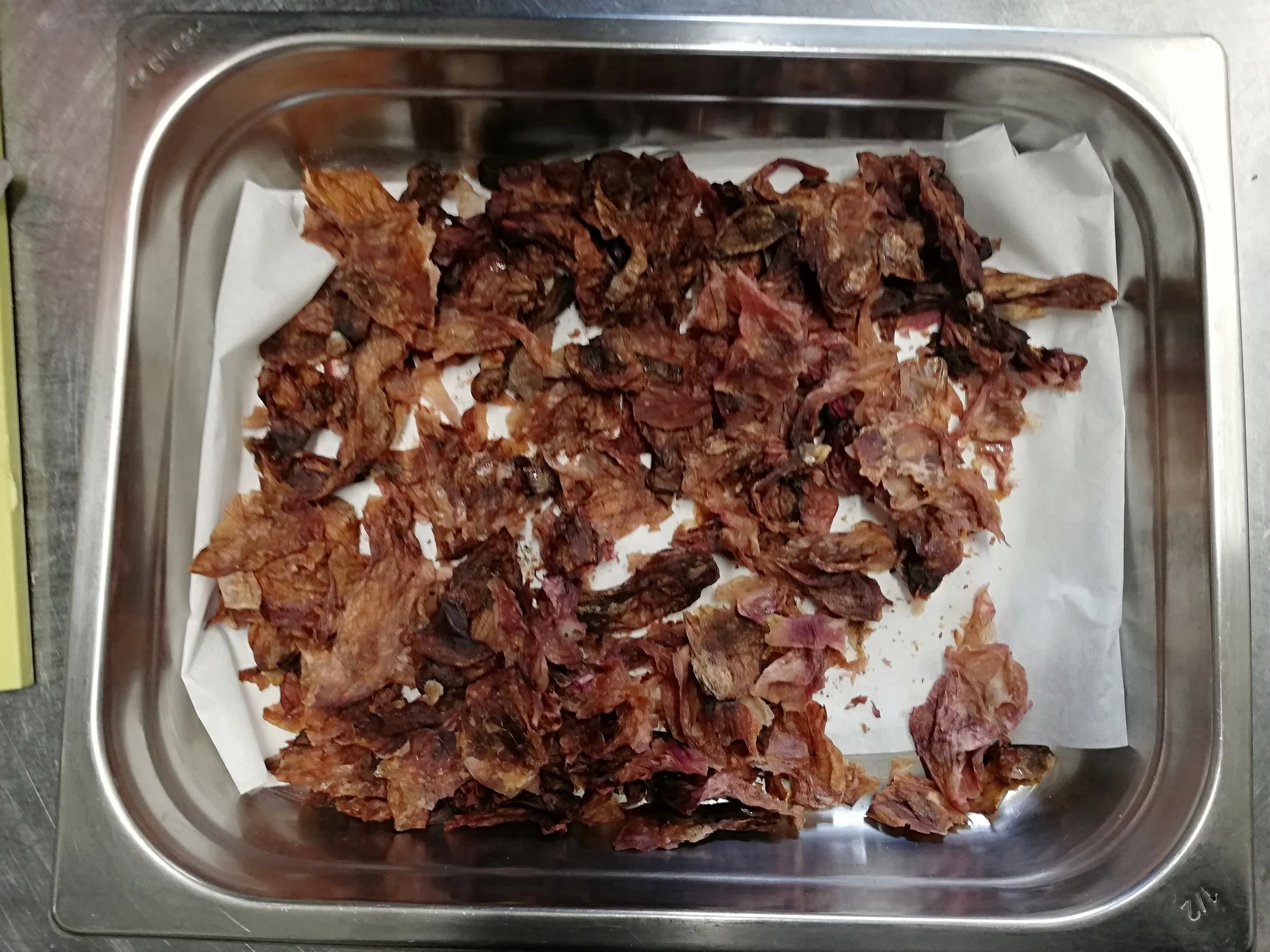 Magnolia spec - 09.jpg