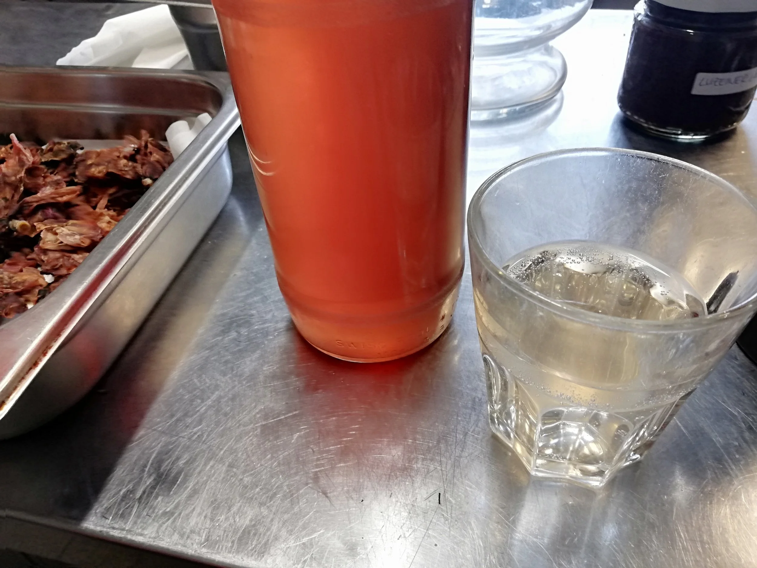 Magnolia spec - 24.jpg