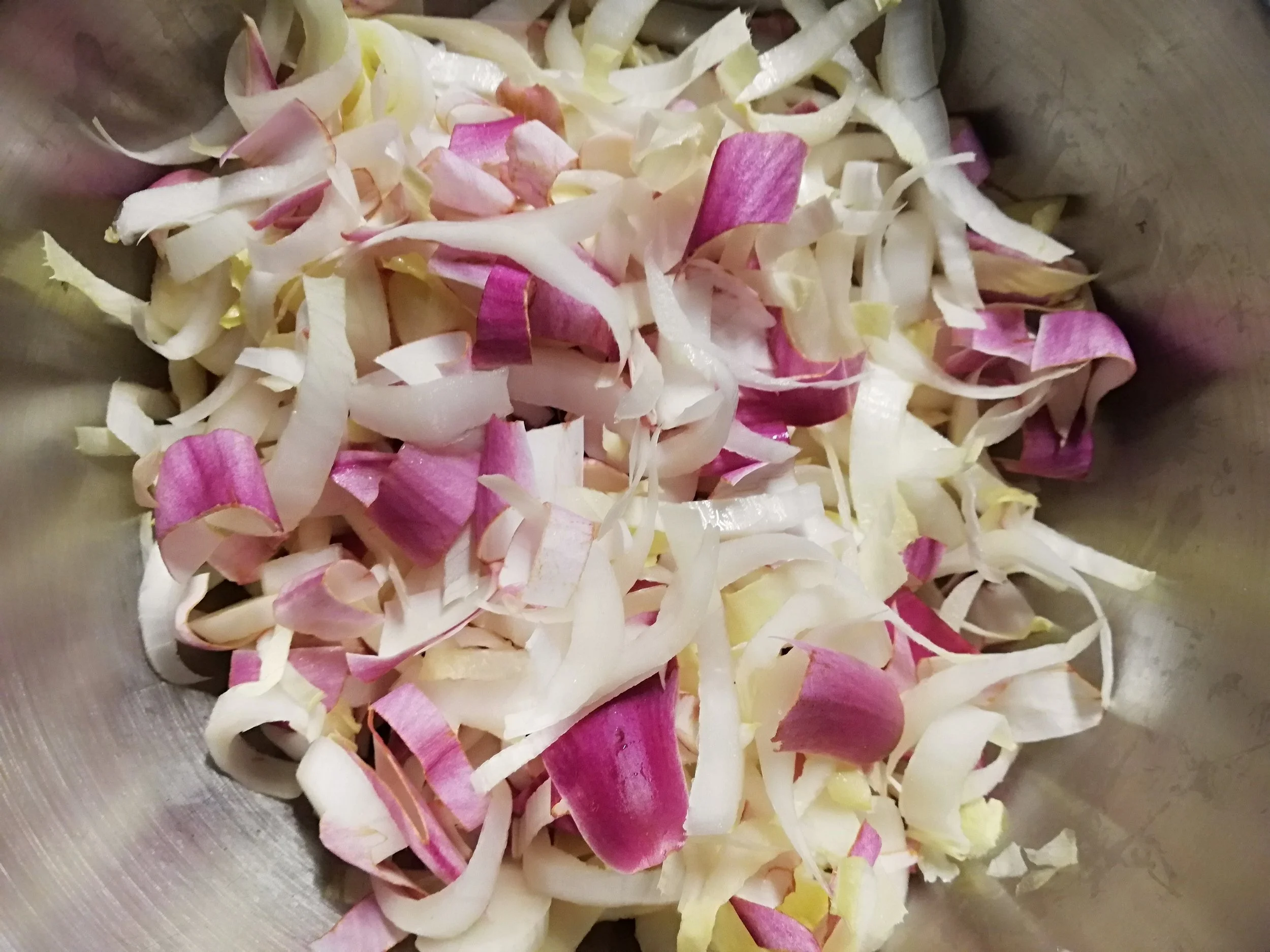 Magnolia x soulangiana - 11.jpg