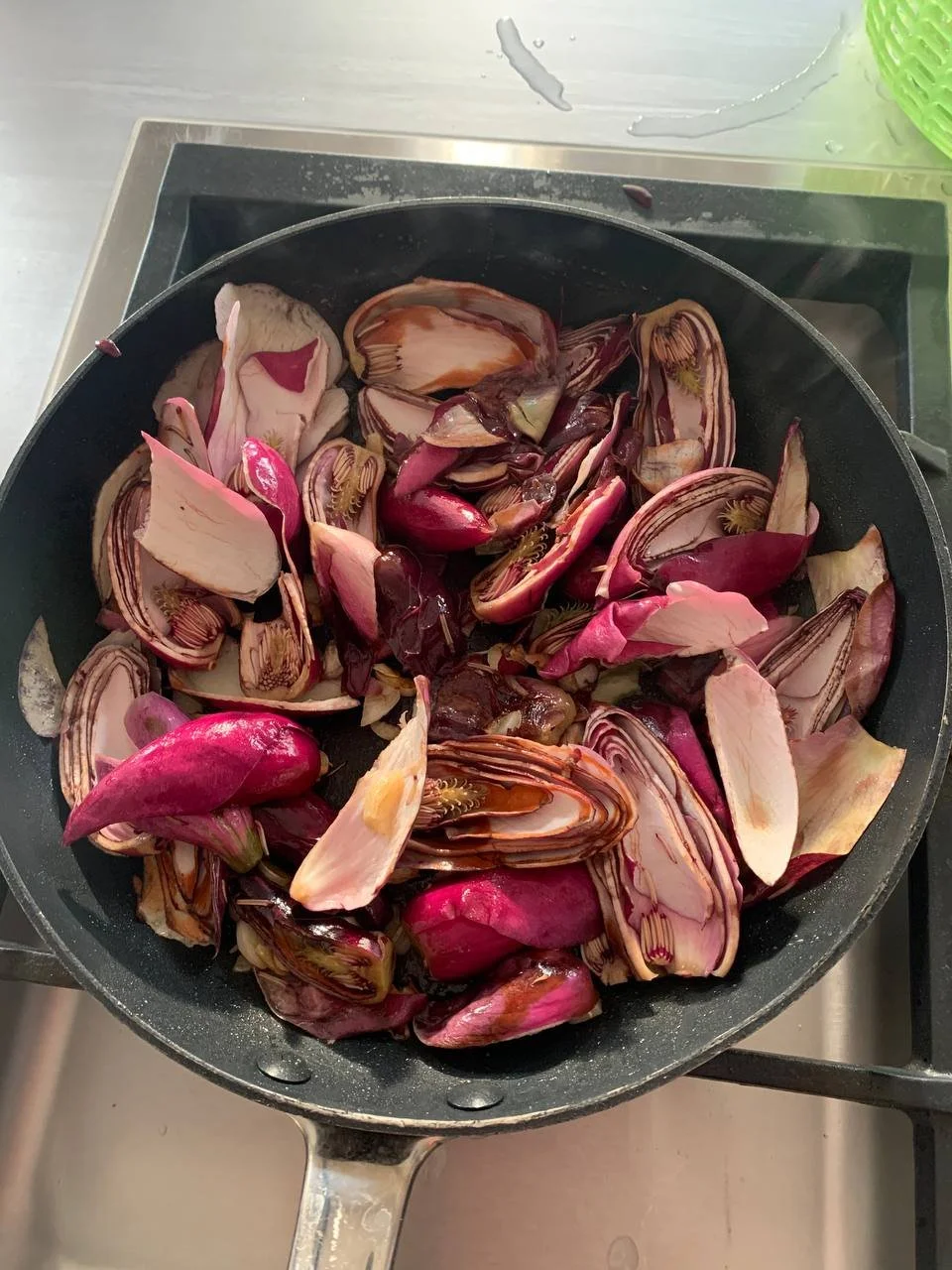 Magnolia liliiflora - 02.jpg