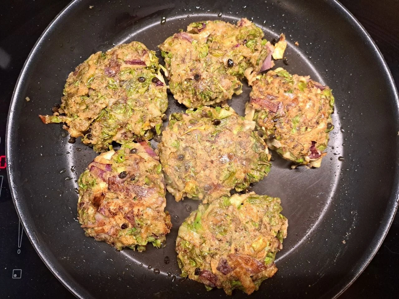 Ulmus glabra - 17.jpg