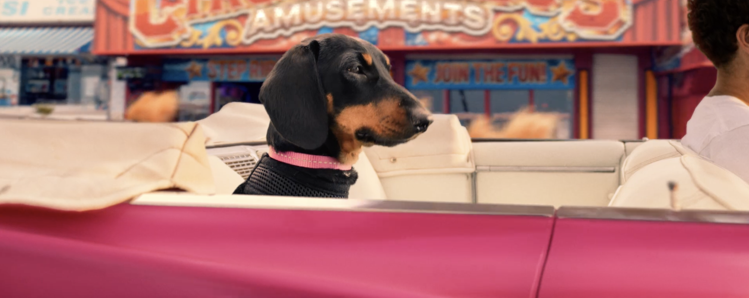 Vitality - Here Comes The Hotstepper