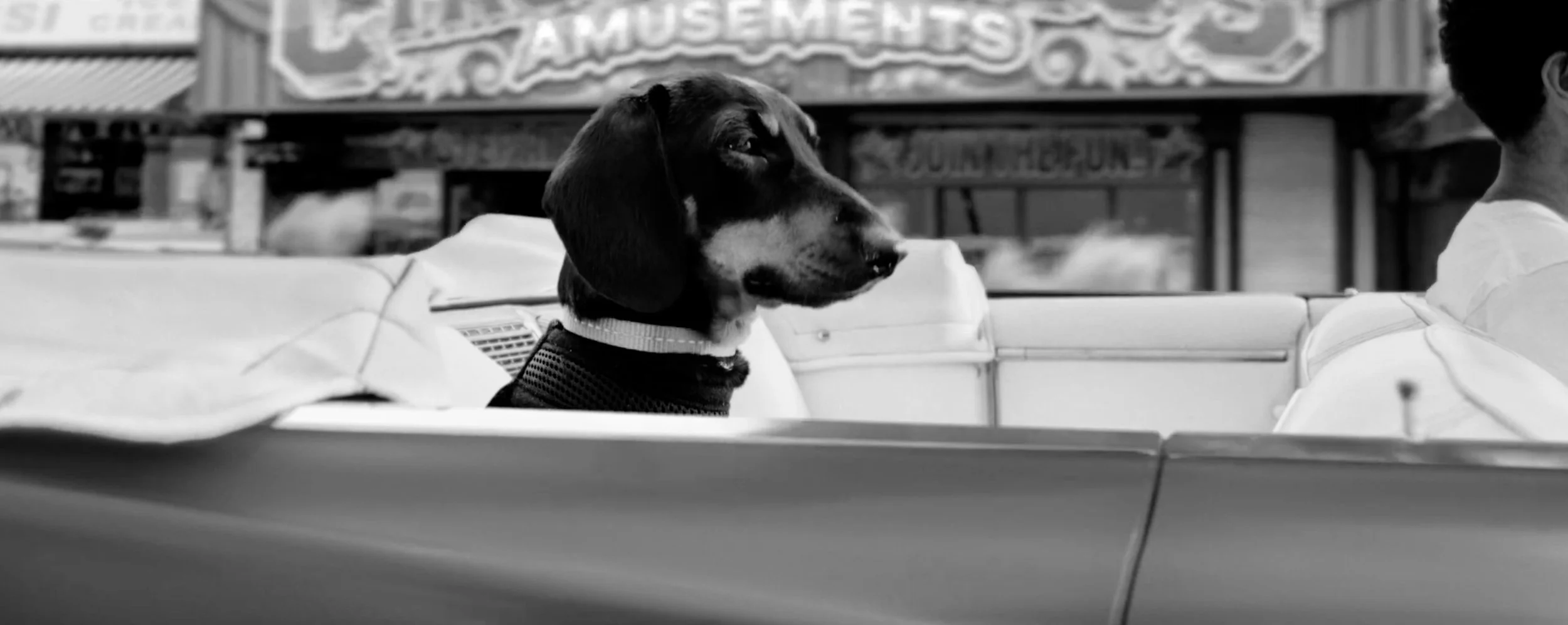 Vitality Life insurance