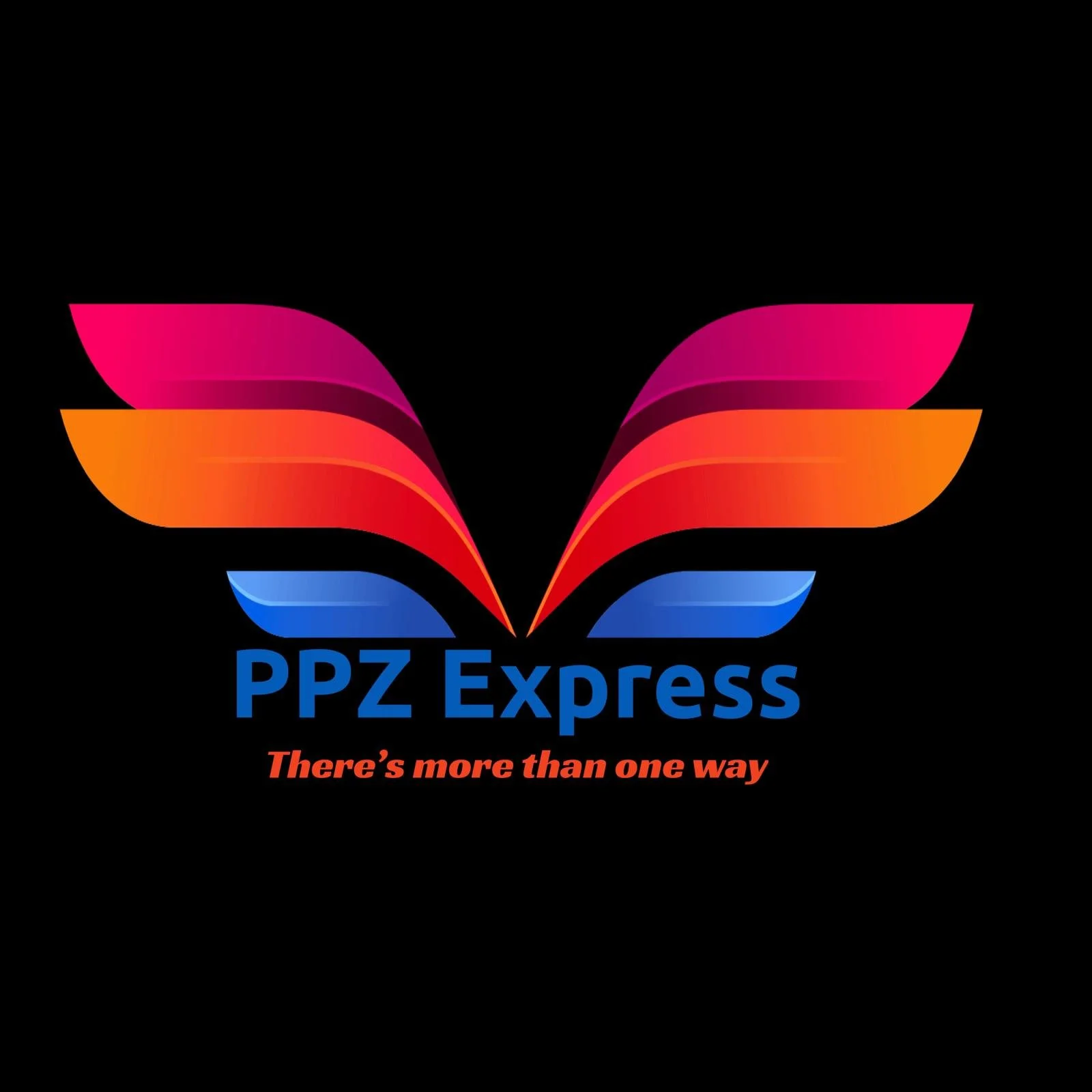 Colorful butterfly logo with pink, orange, and blue wings and the text "PPZ Express" in blue and the tagline "There's more than one way" in red.
