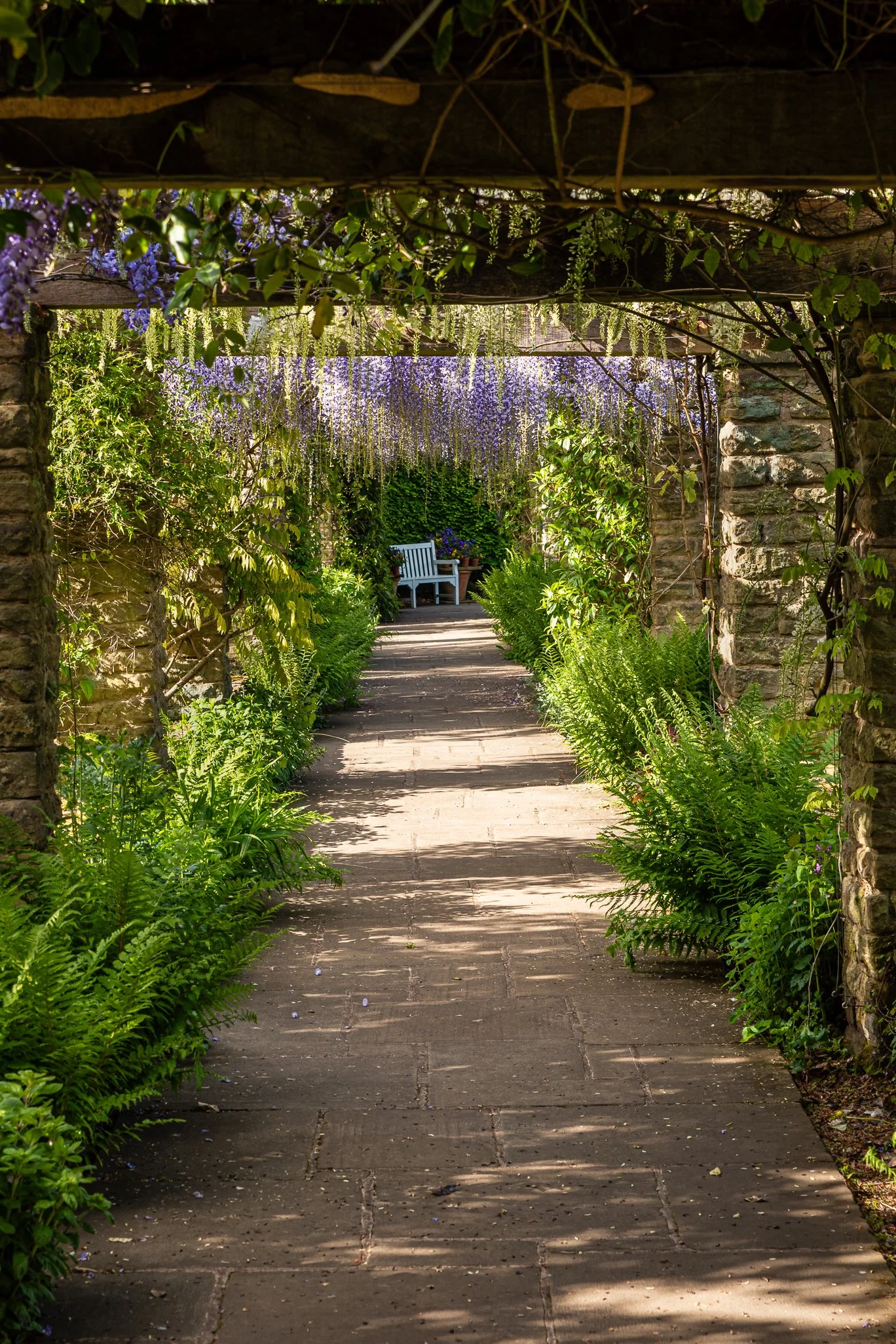LargeGarden-6.jpg