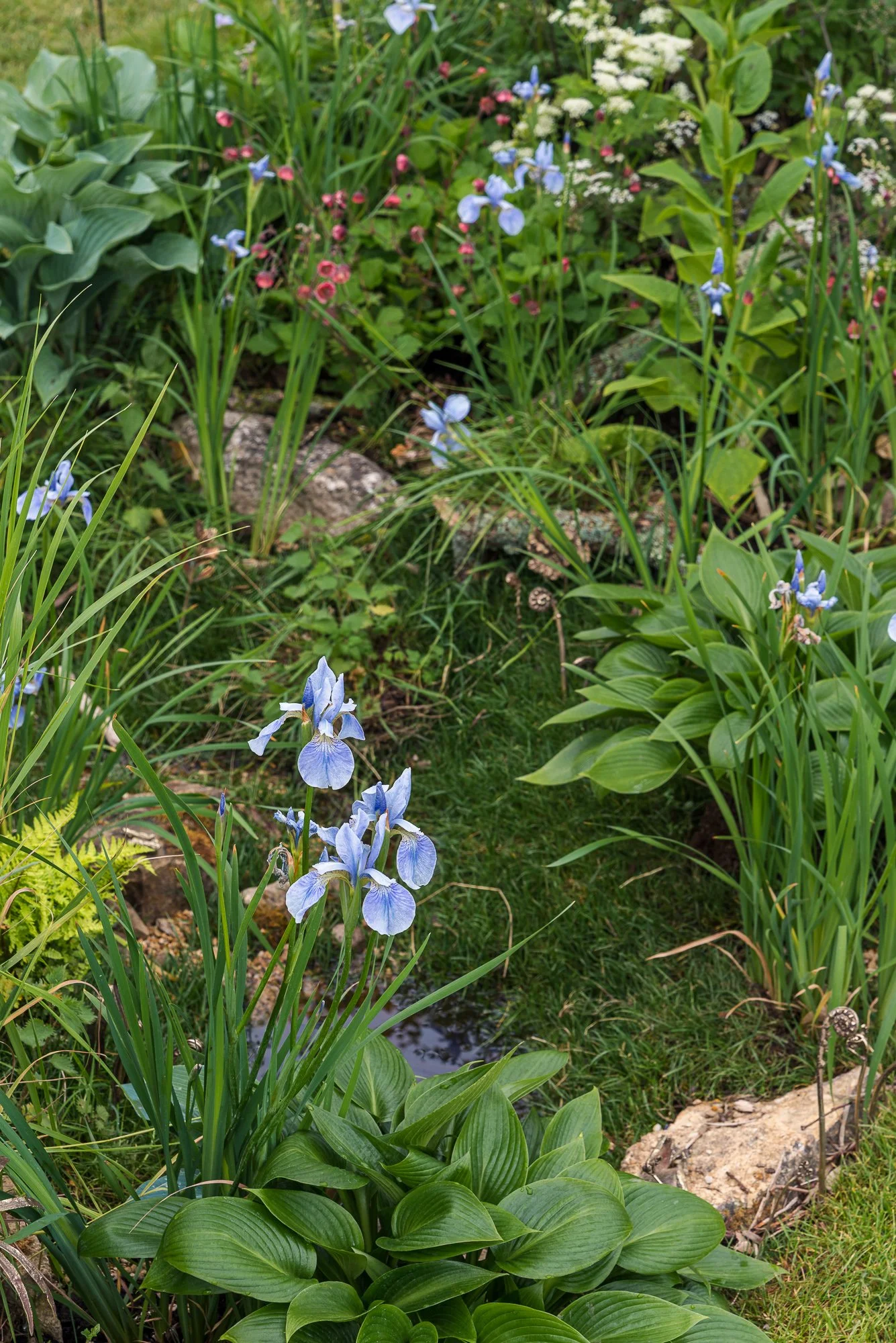190526-63.jpg