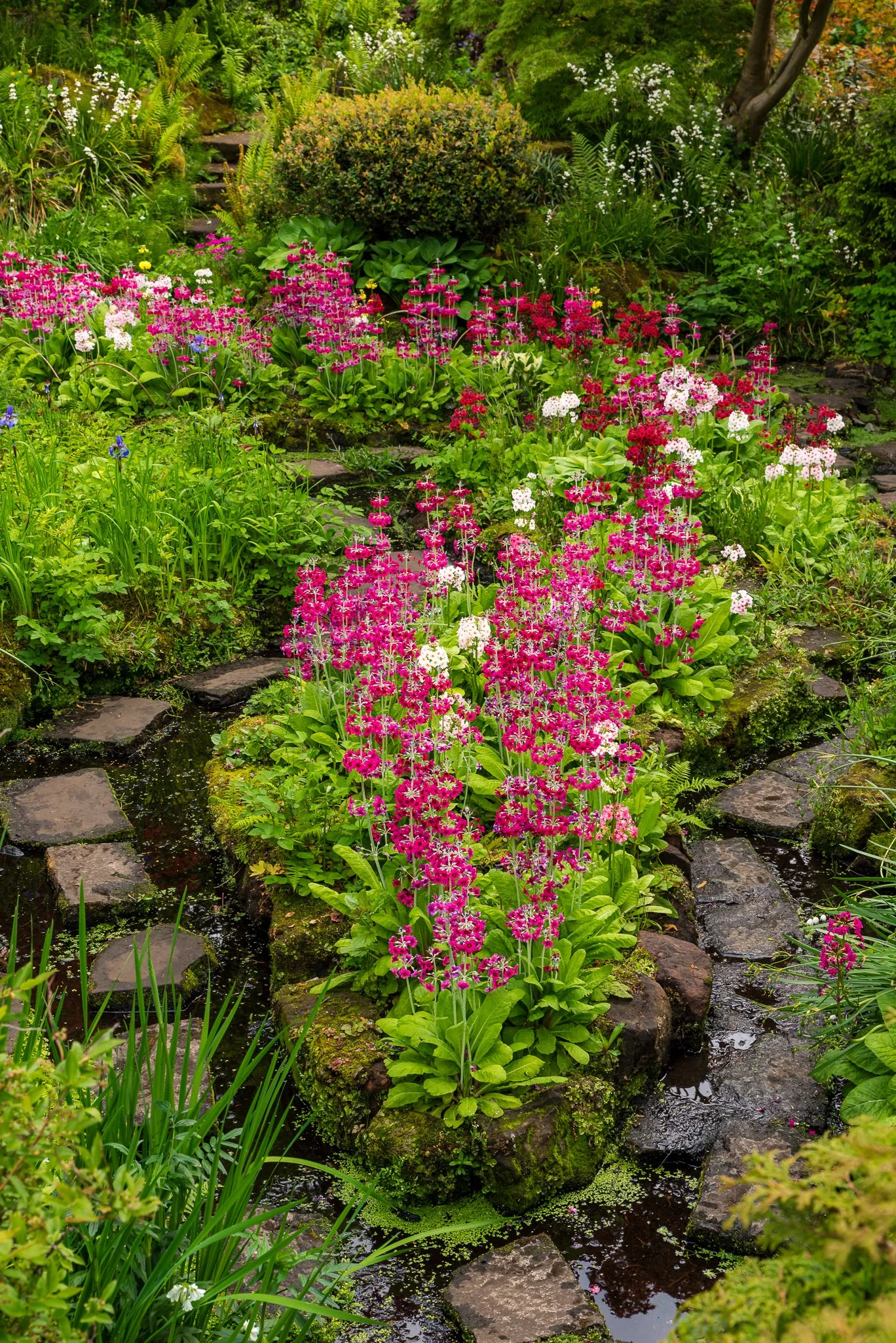 LargeGarden-13.jpg