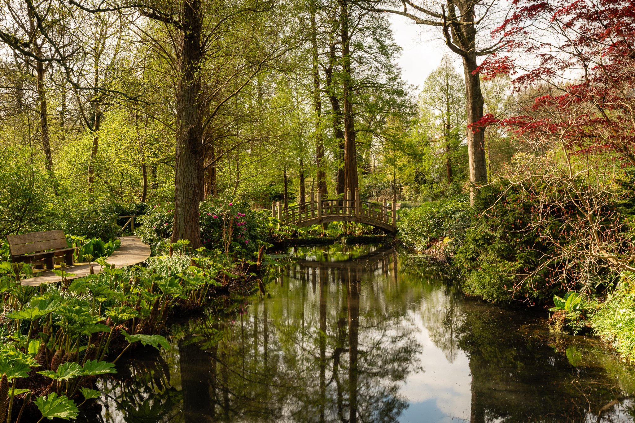 LargeGarden-11.jpg
