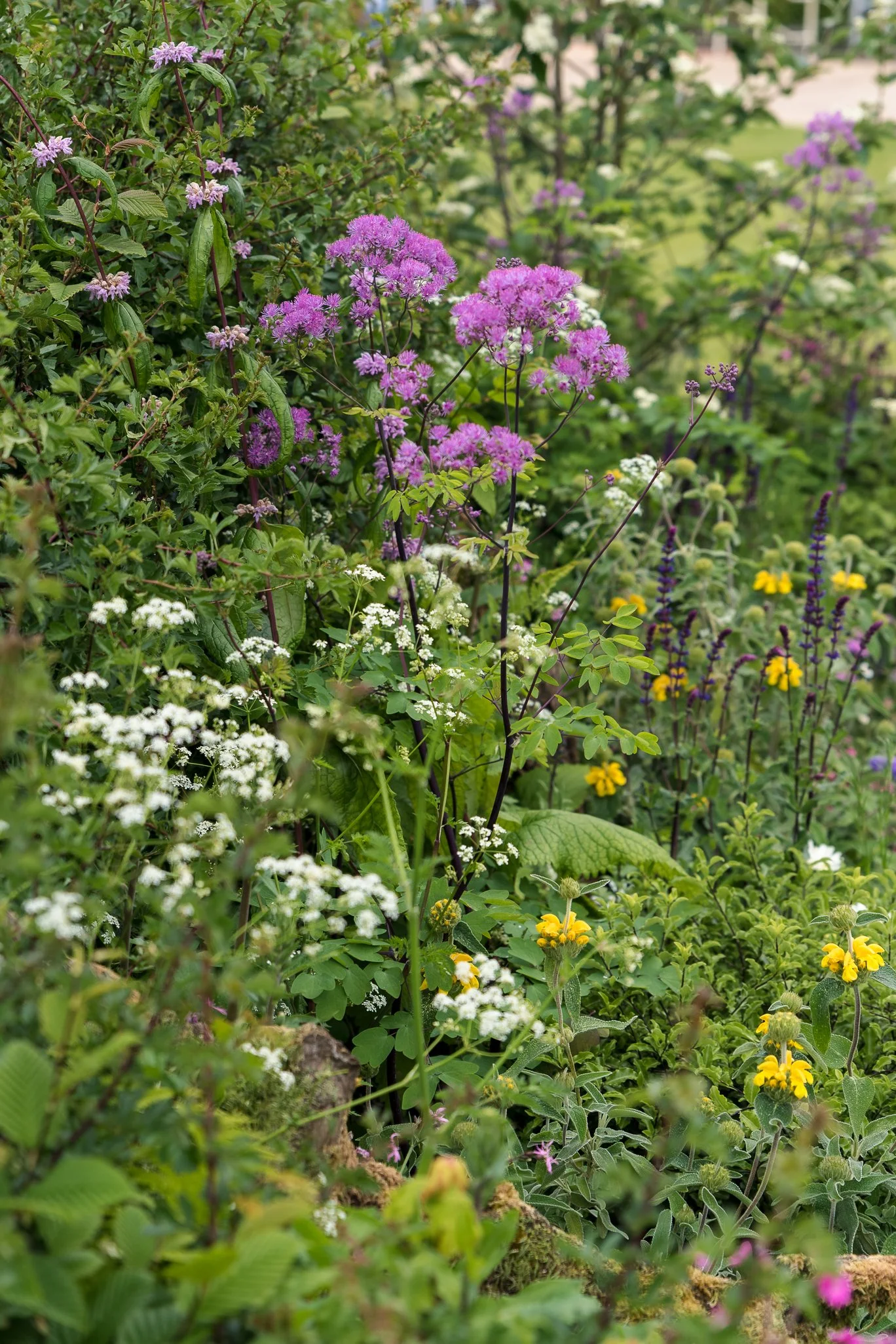 Plants-21.jpg