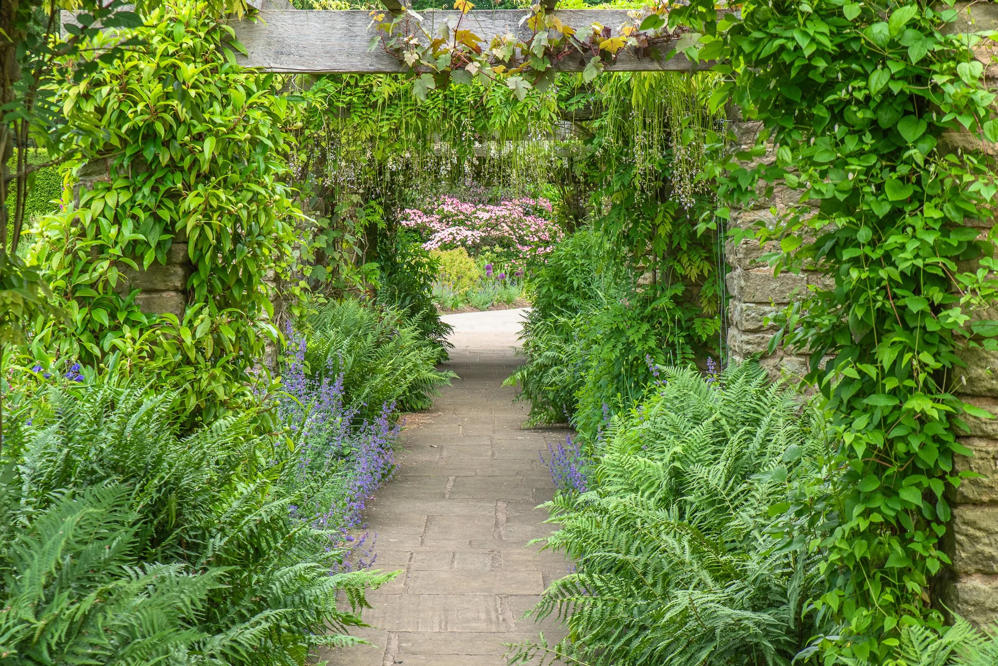 How I have transformed into a garden photographer