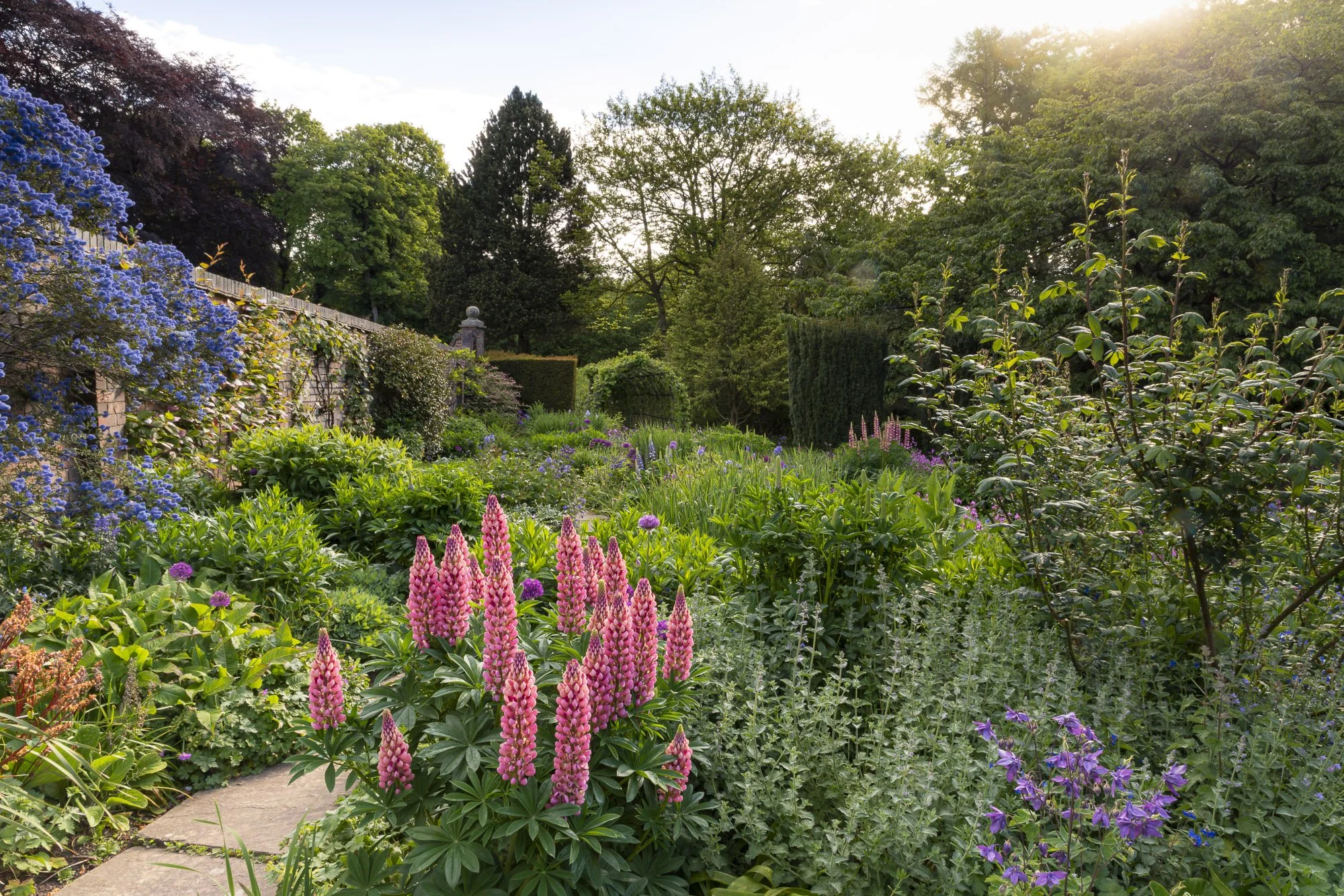 Creating a garden photograph at Winterbourne