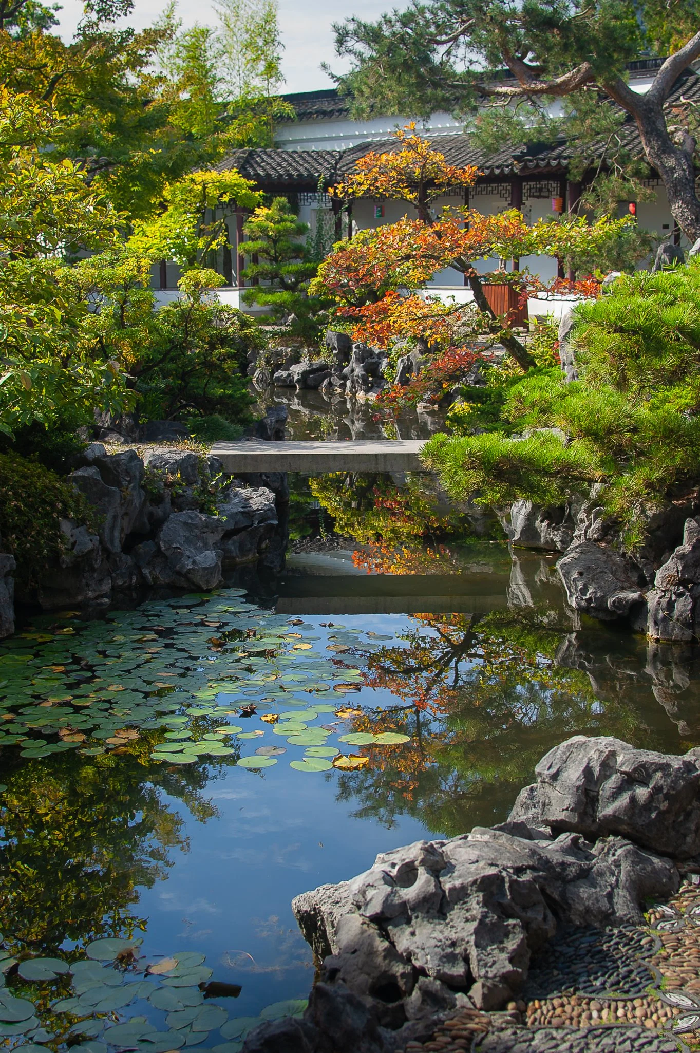 LargeGarden-33.jpg