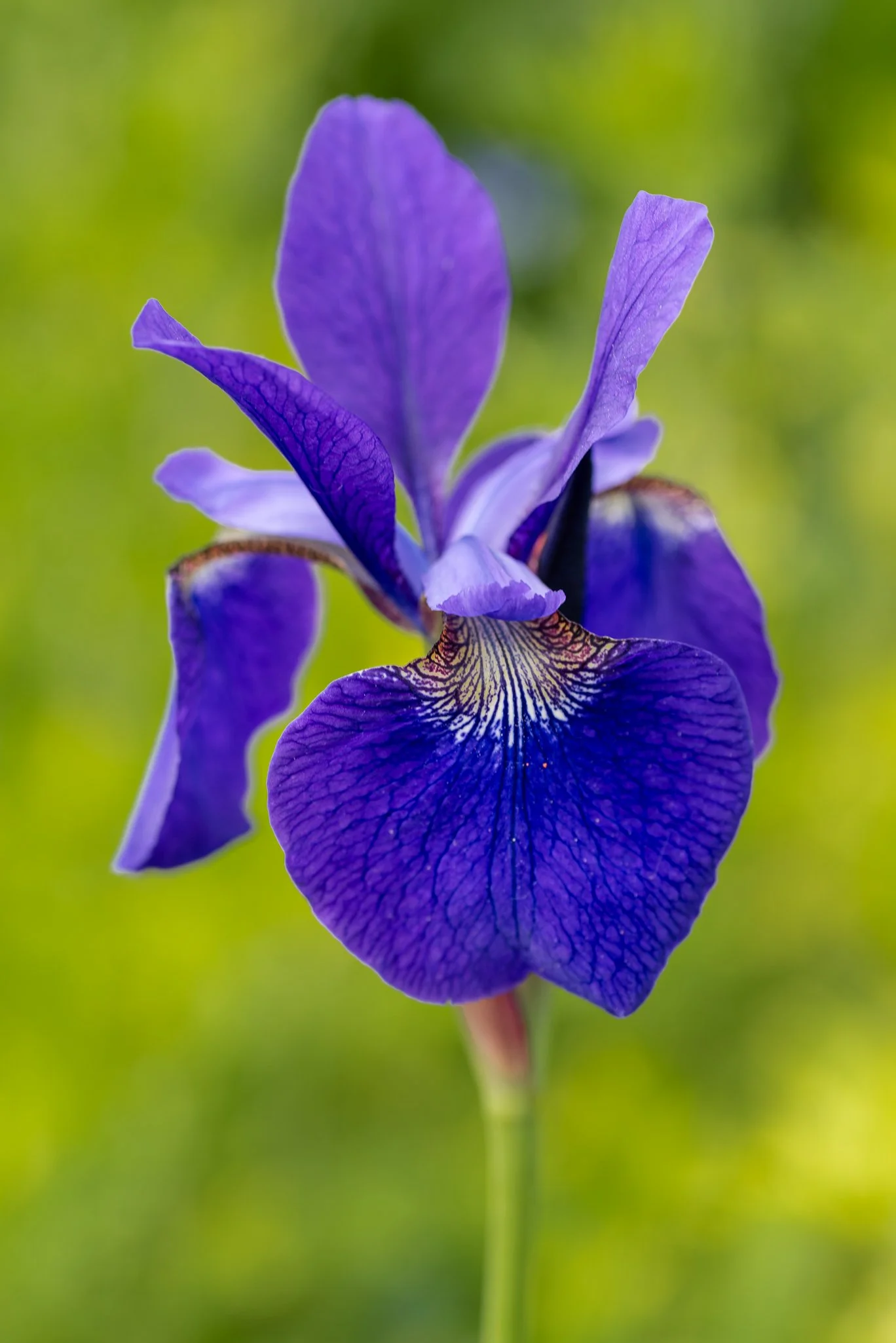 Plants-9.jpg
