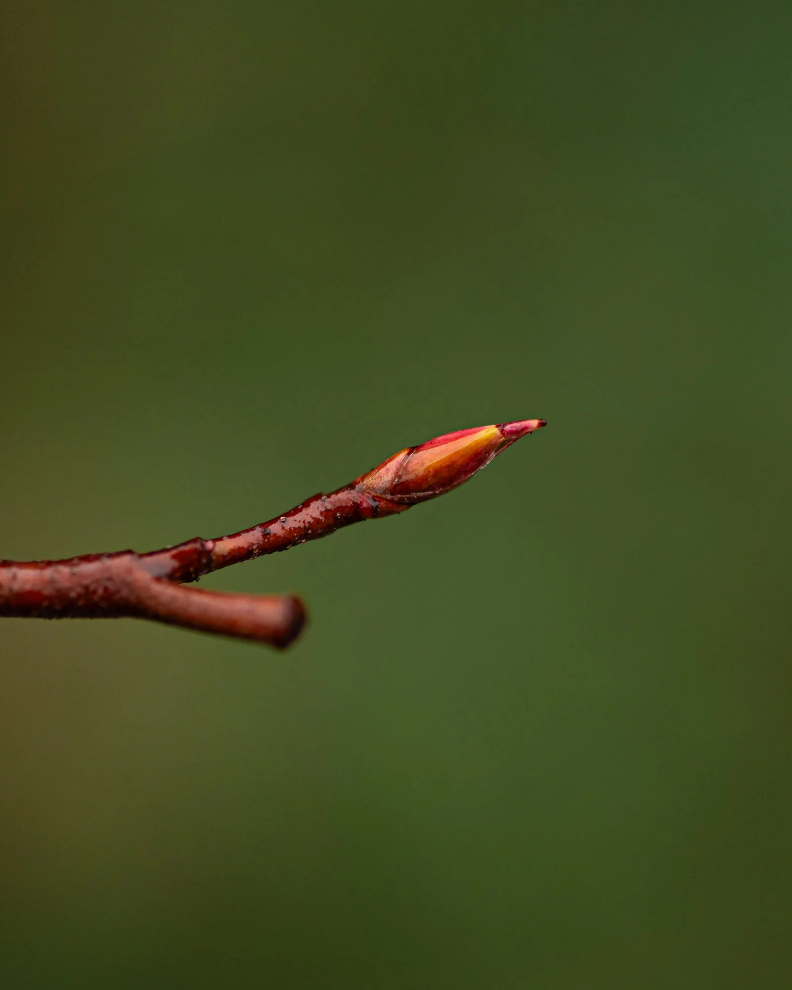 190526-3.jpg