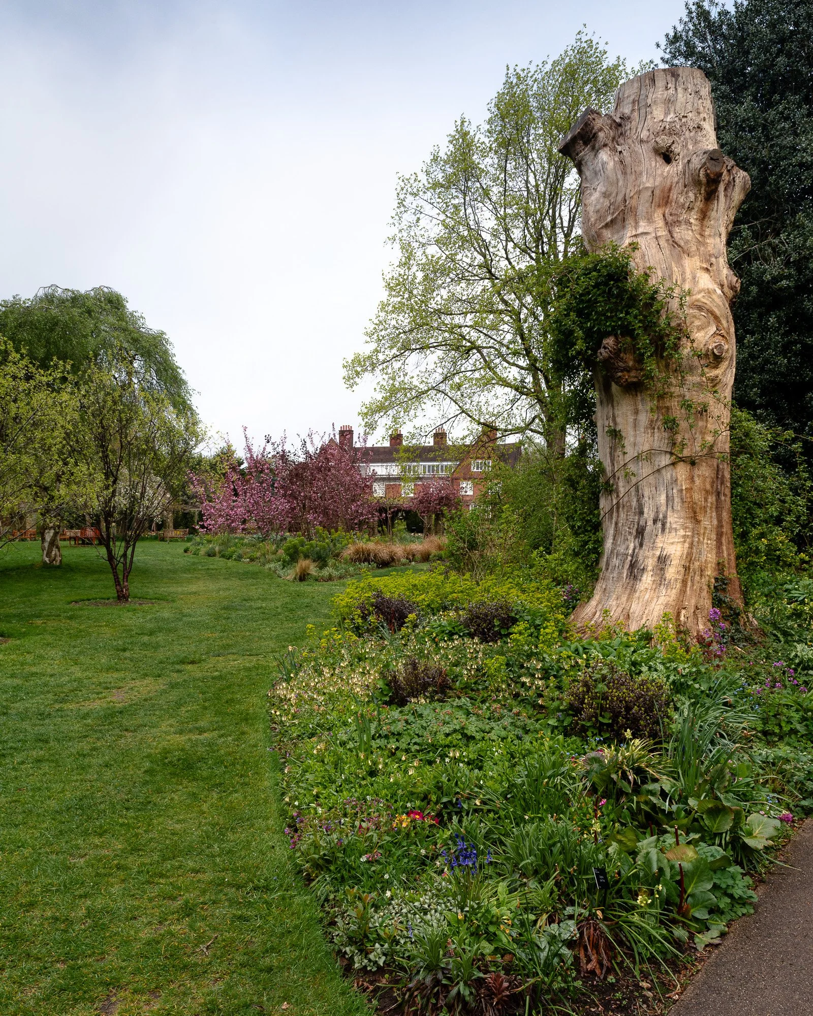 190526-29.jpg