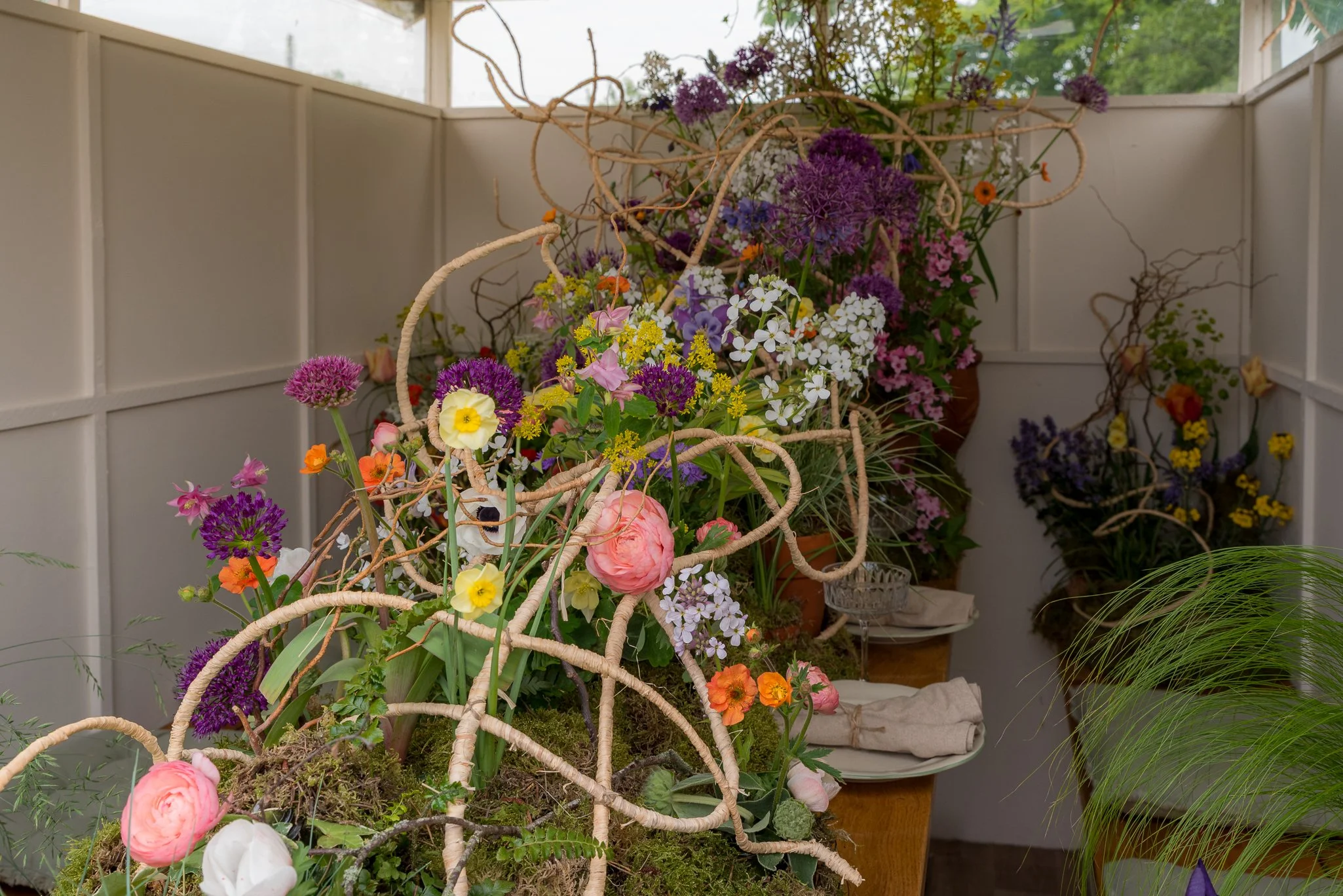 Plants-20.jpg