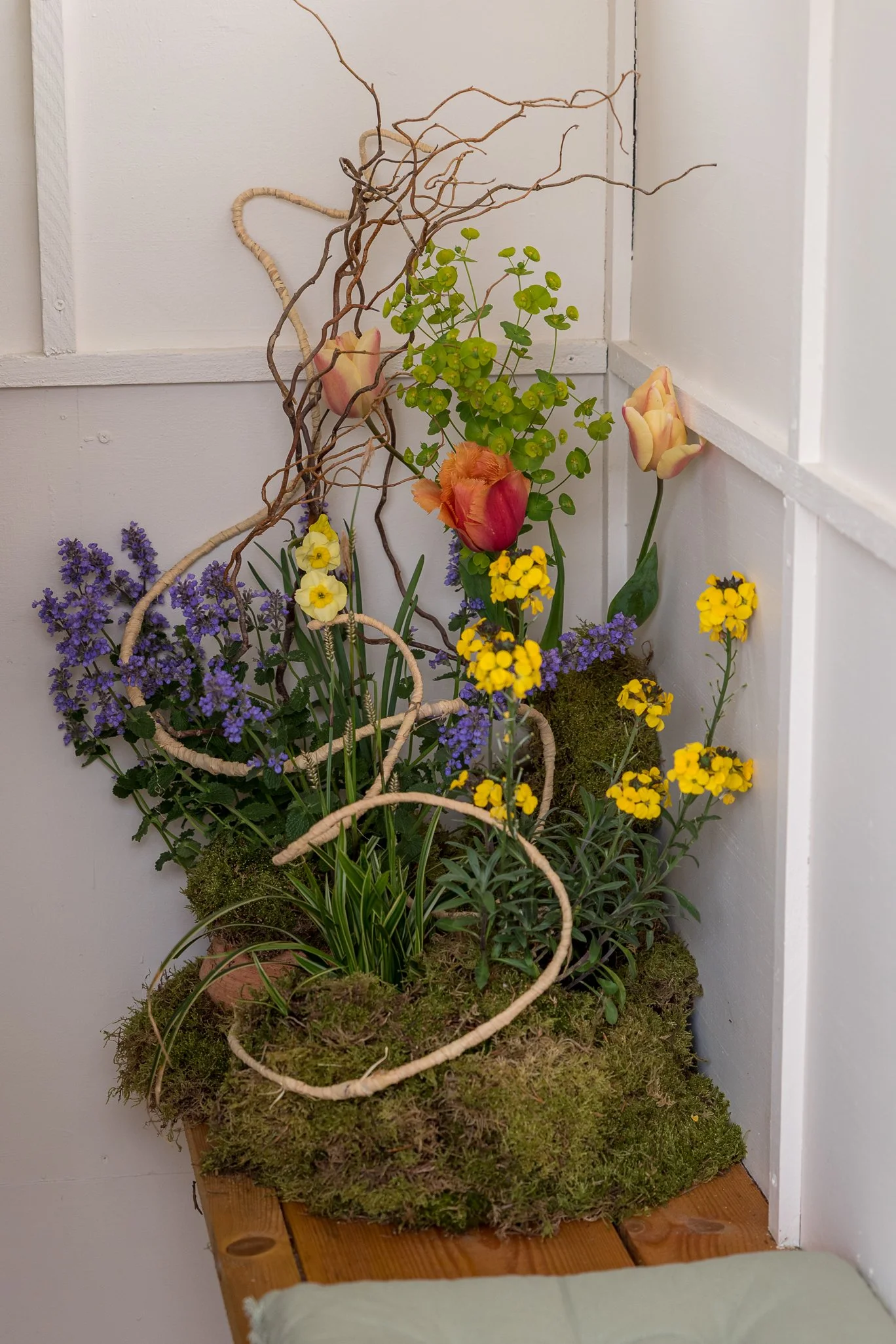 Plants-19.jpg
