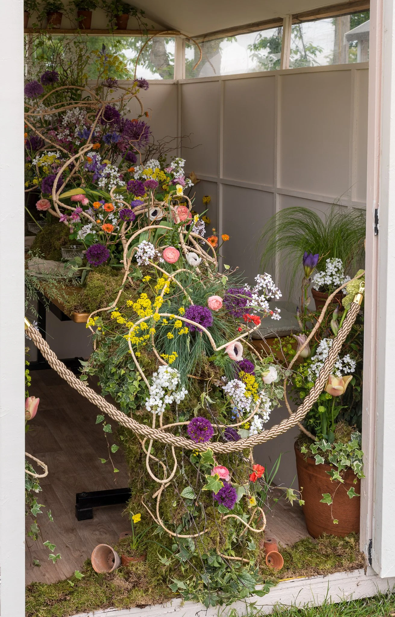 Plants-17.jpg