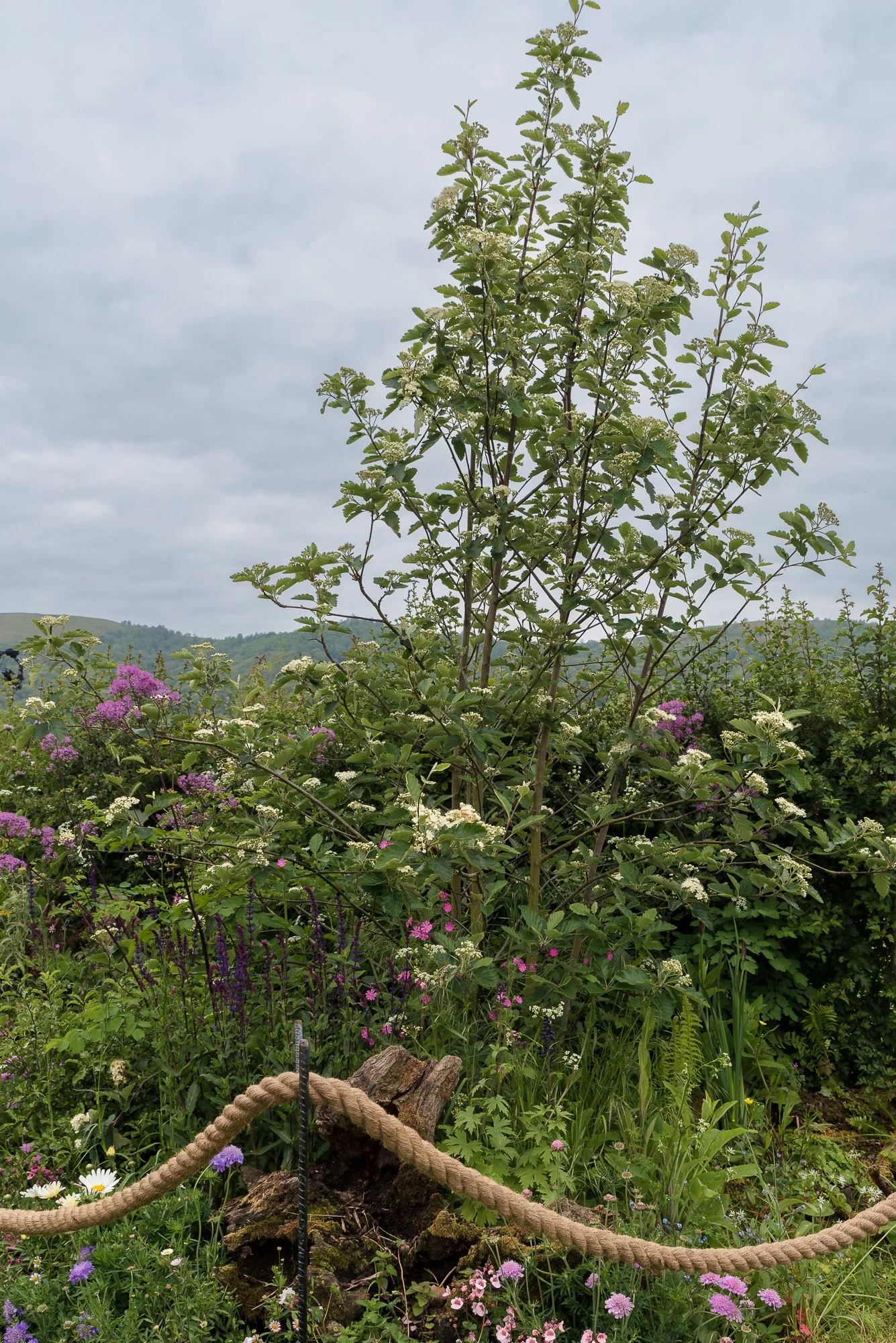 190526-53.jpg