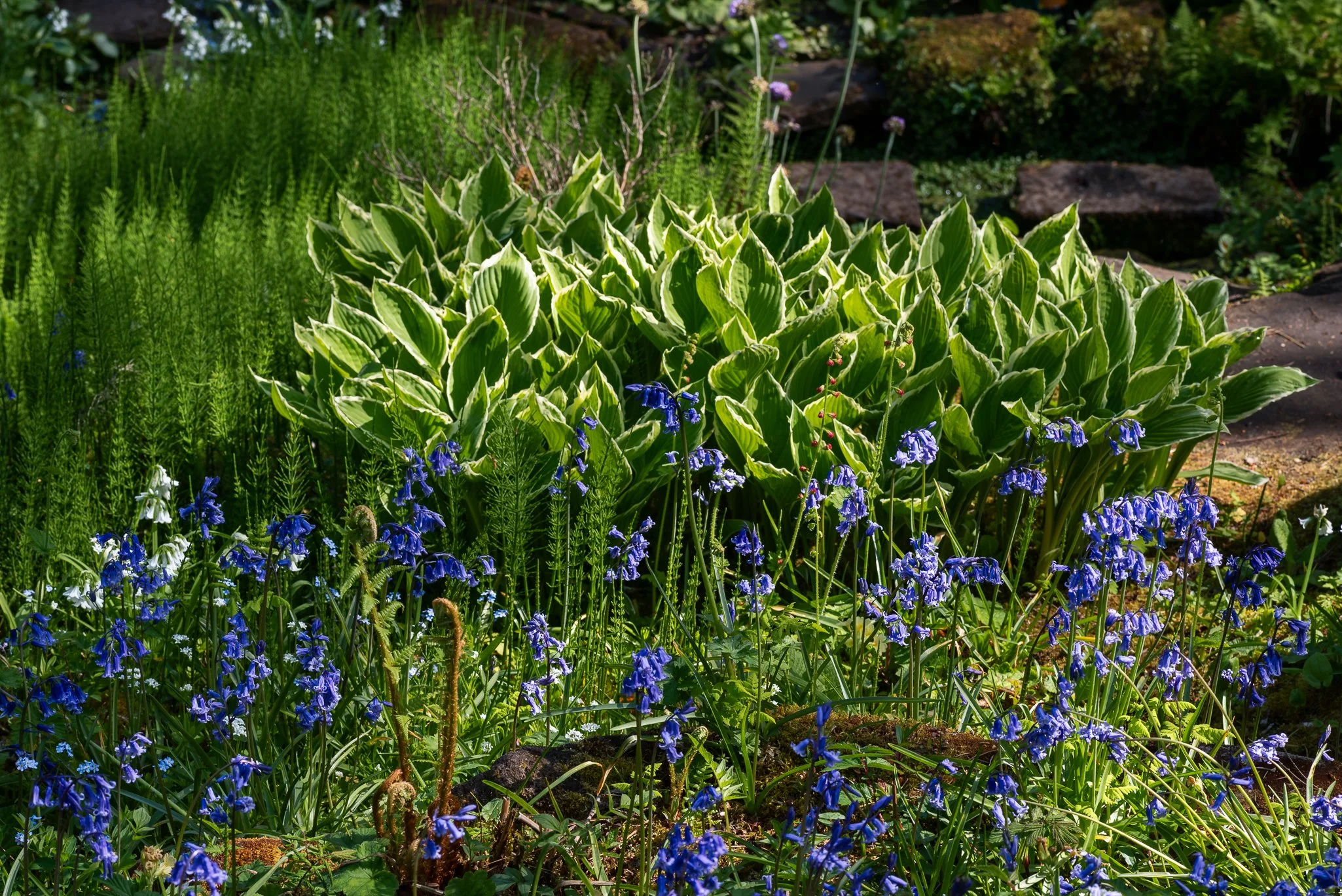 LargeGarden-15.jpg