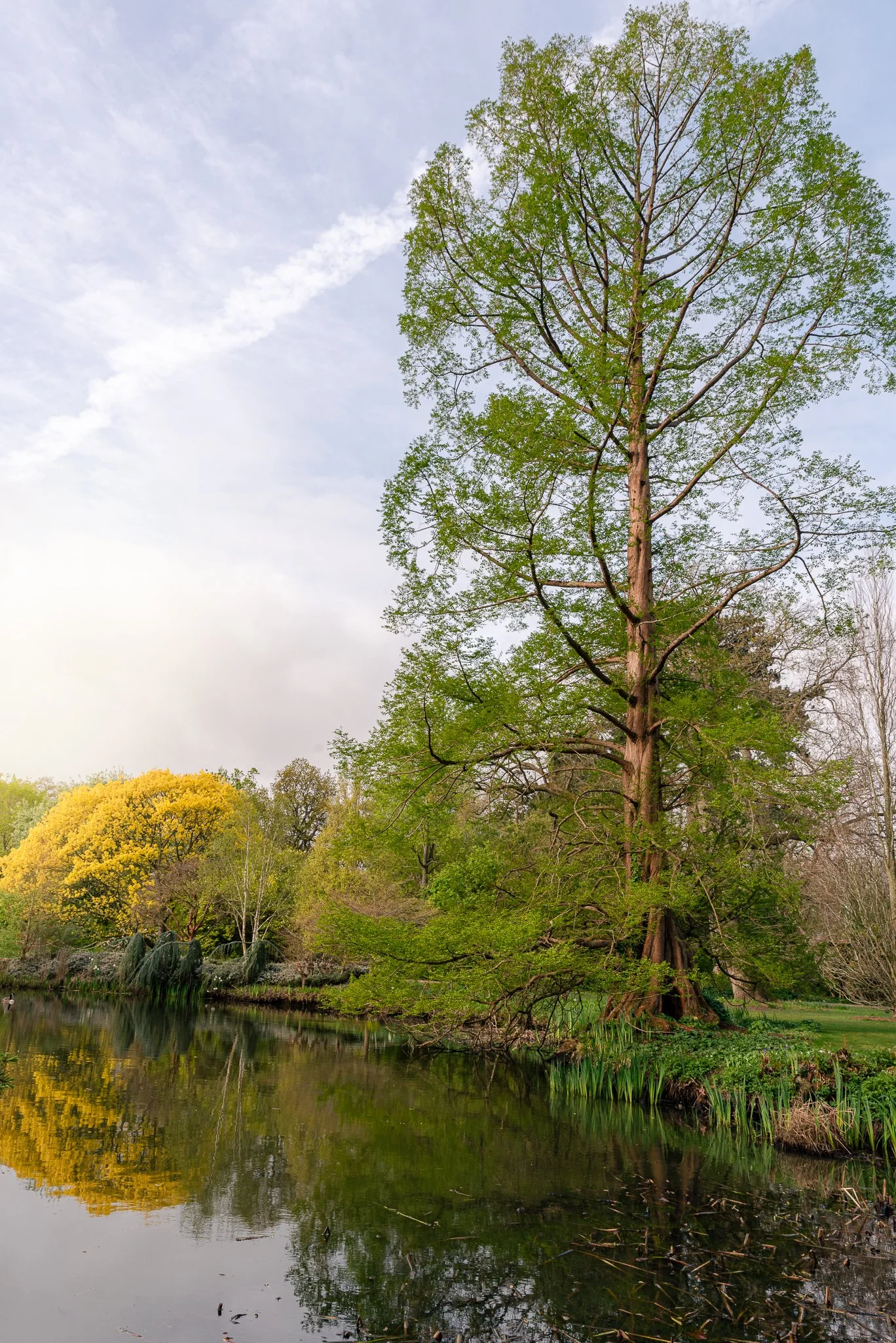 LargeGarden-18.jpg