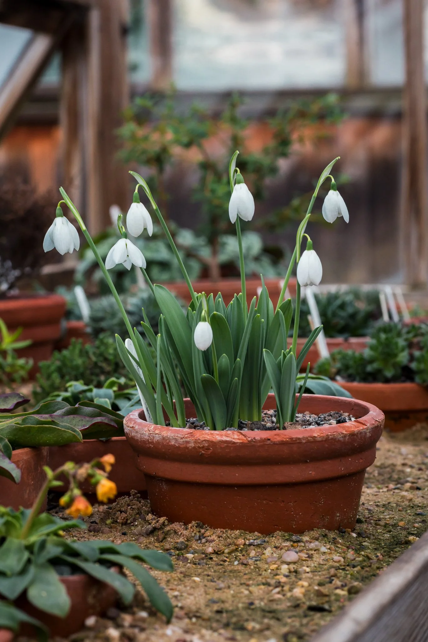 Plants-30.jpg