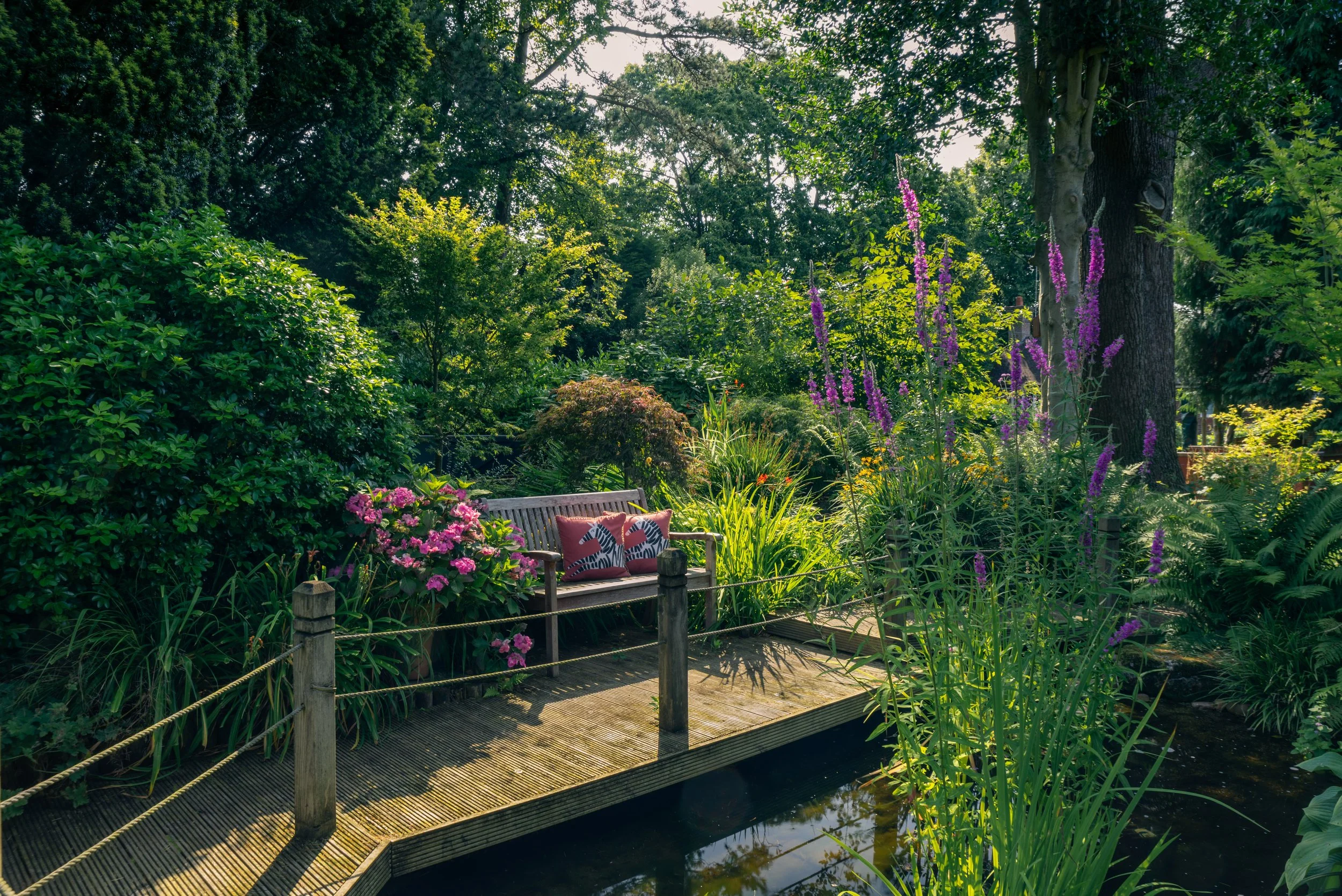 Bench overlooking decking and pool in a Private NGS Open Garden