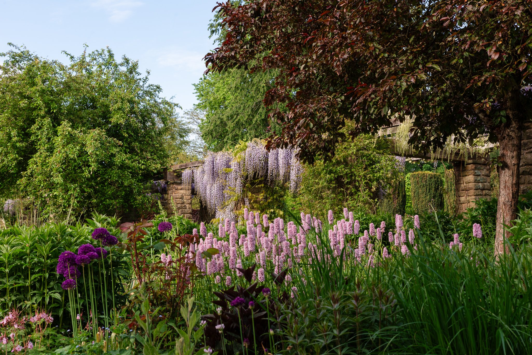 LargeGarden-5.jpg