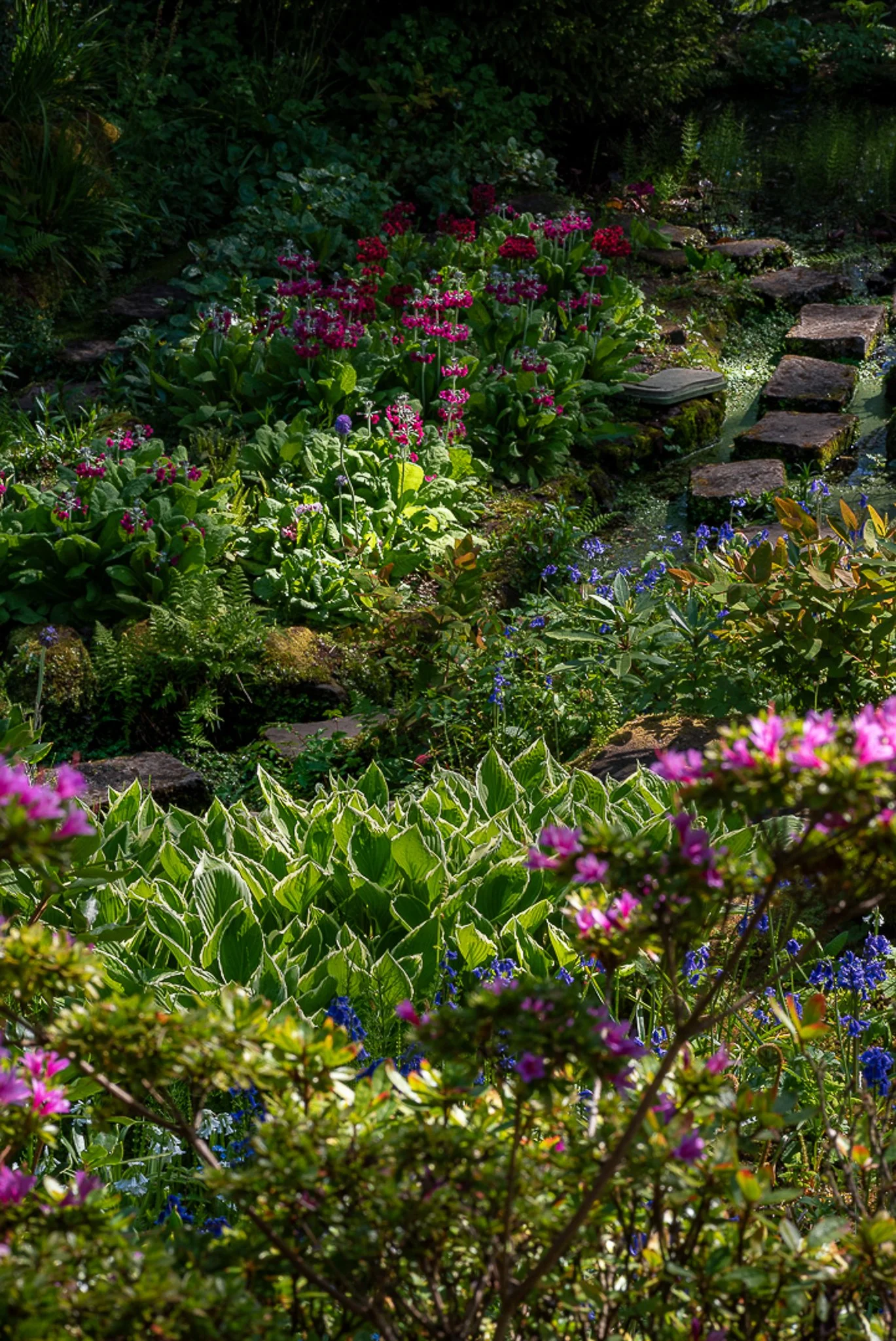LargeGarden-14.jpg