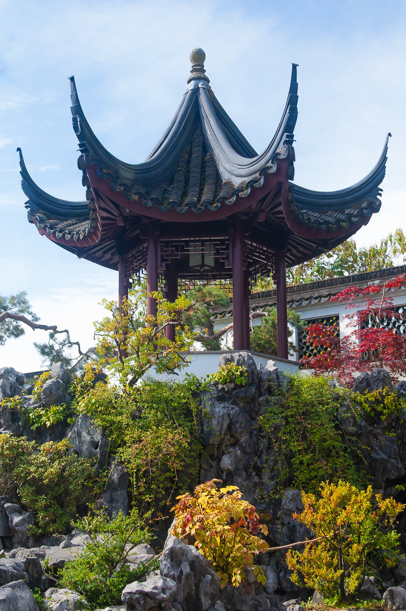 LargeGarden-34.jpg