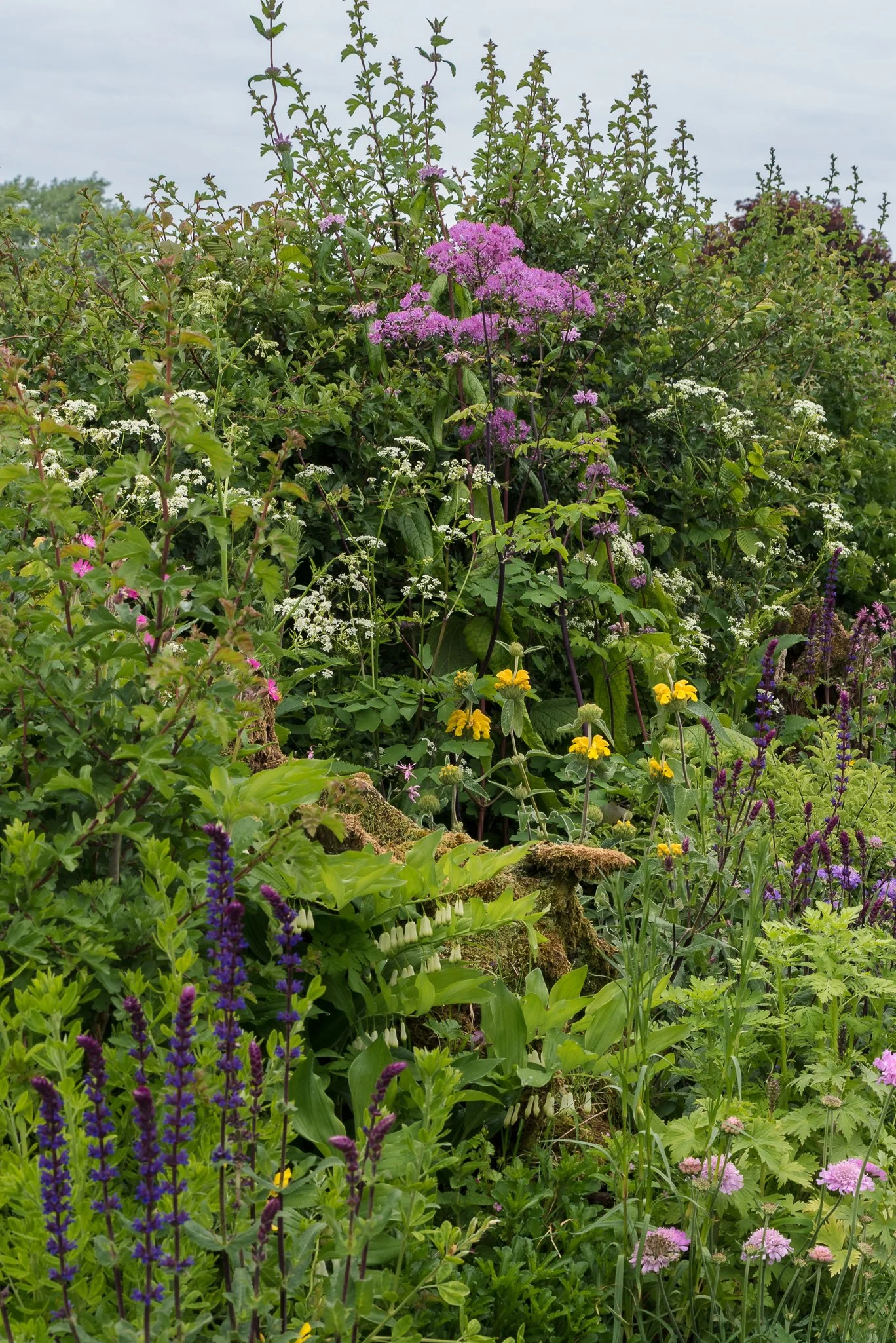Plants-22.jpg