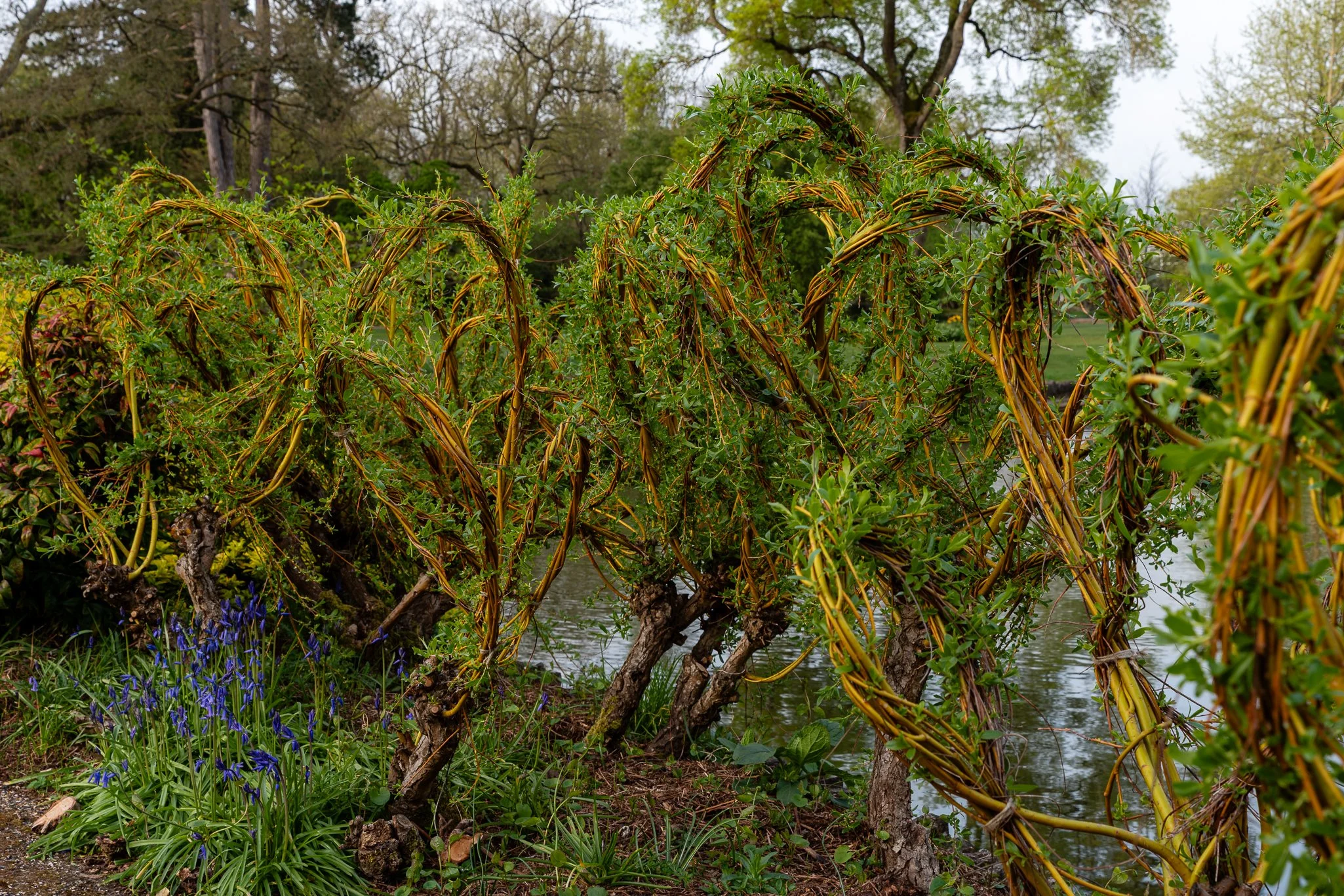 Plants-25.jpg