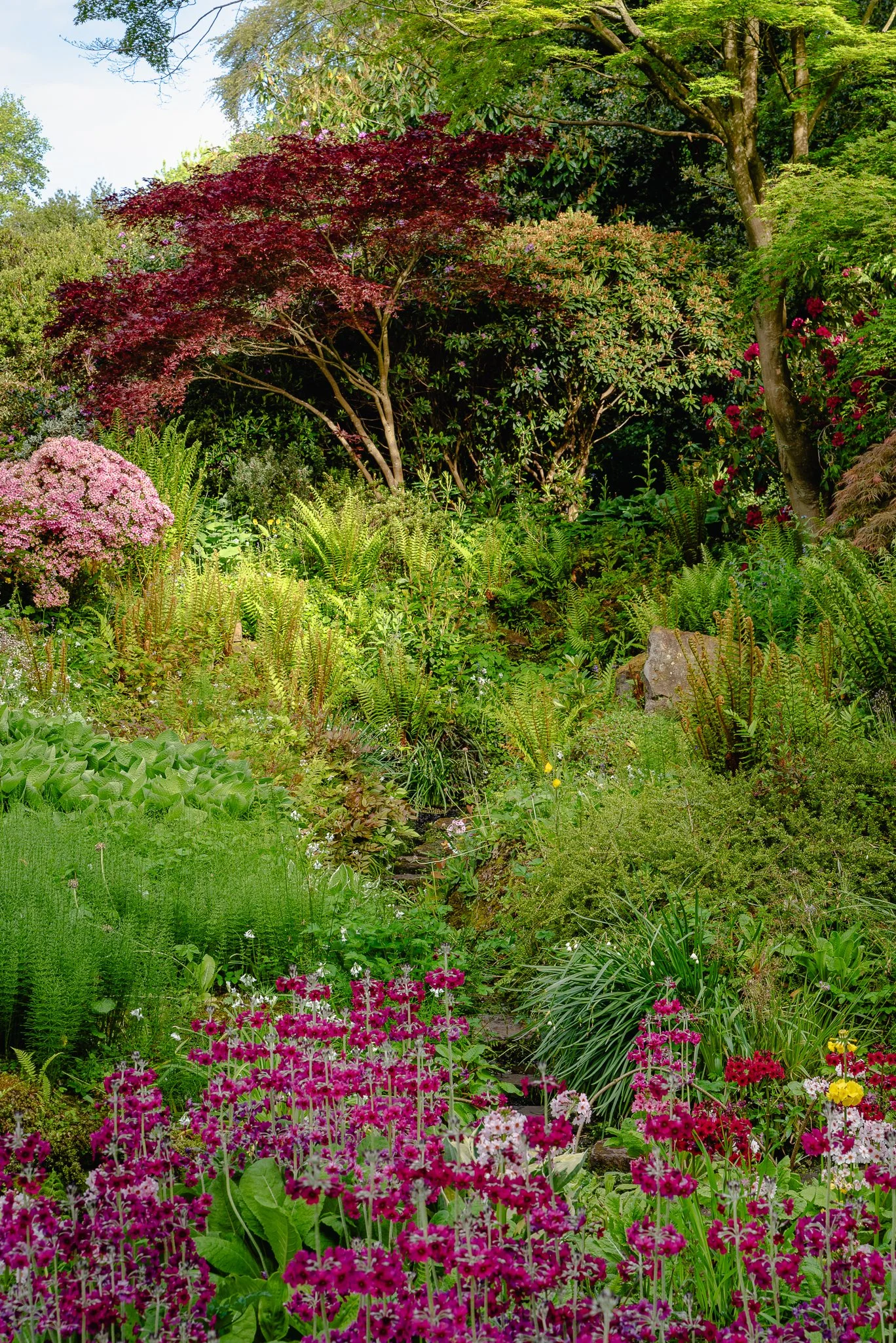 LargeGarden-12.jpg