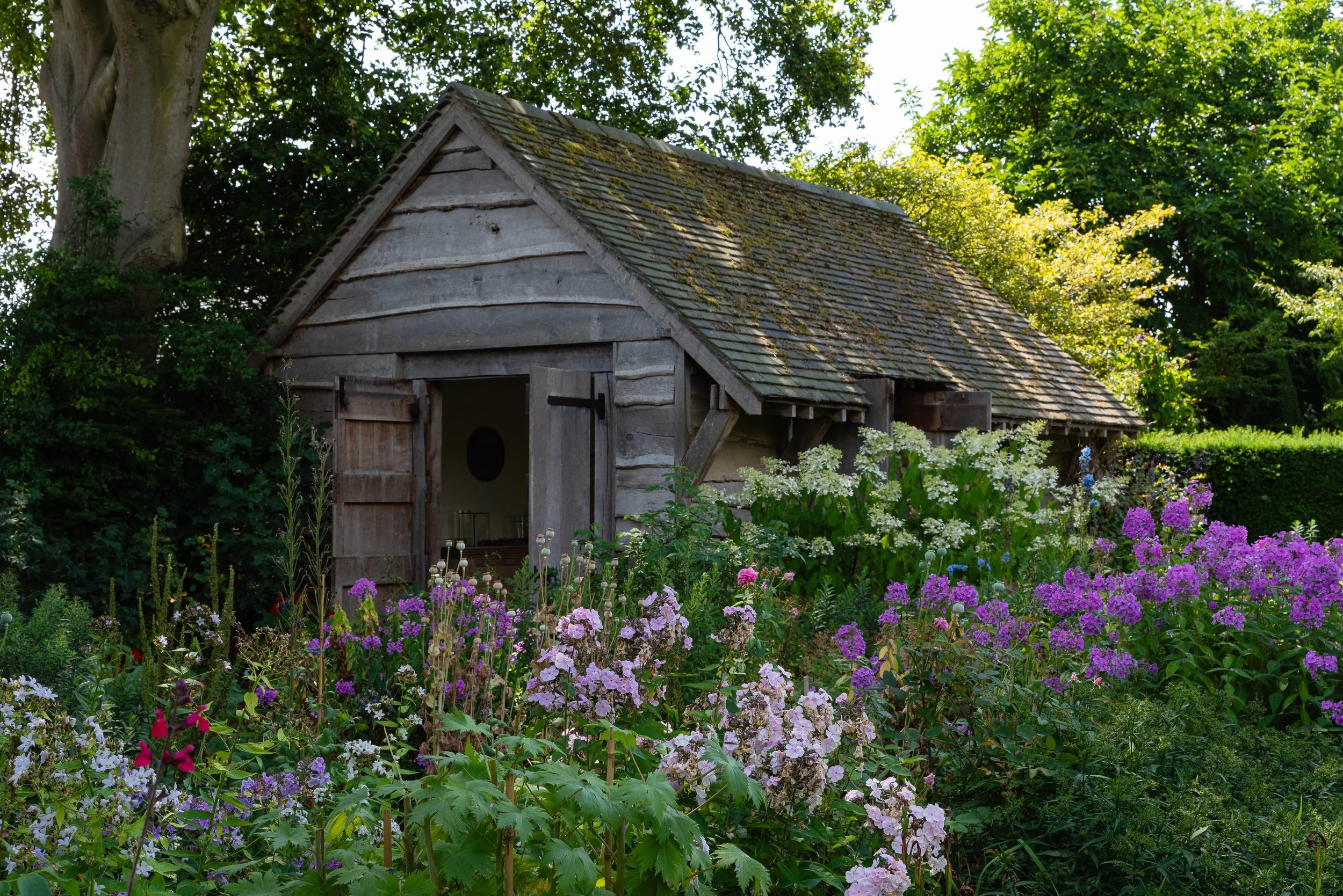 View of a large wooden clad outbuilding over a summer flowering border