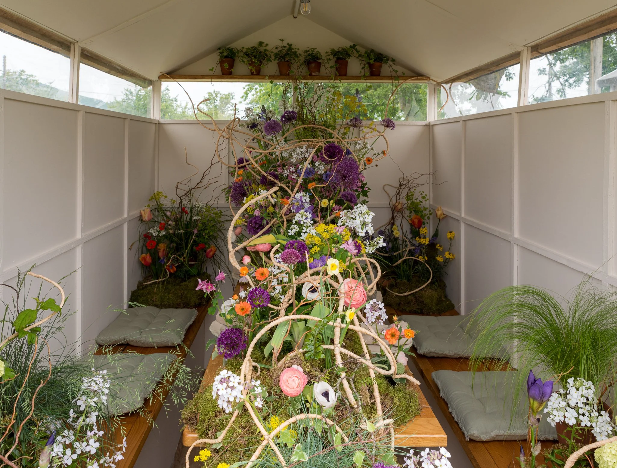Plants-16.jpg