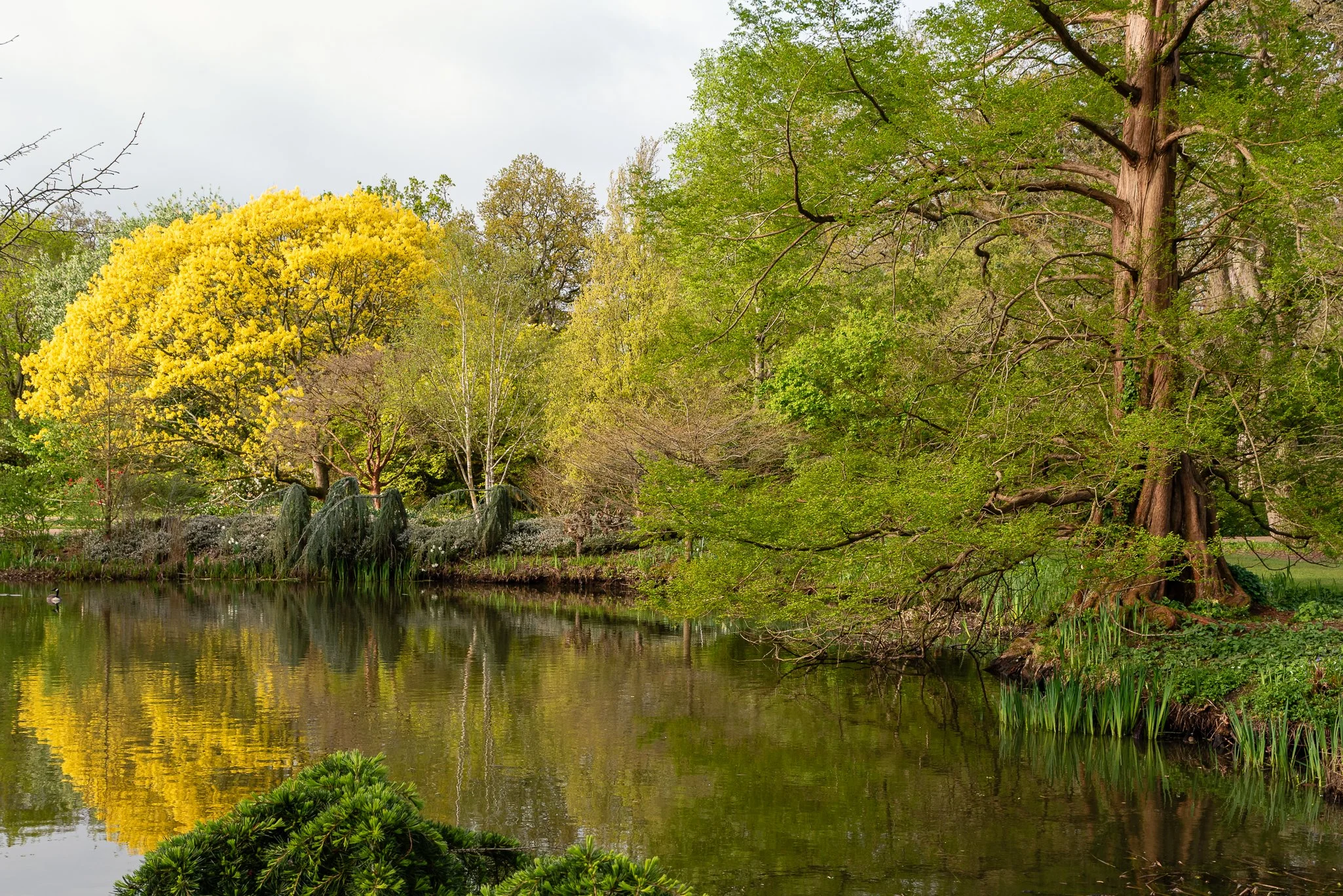 LargeGarden-17.jpg