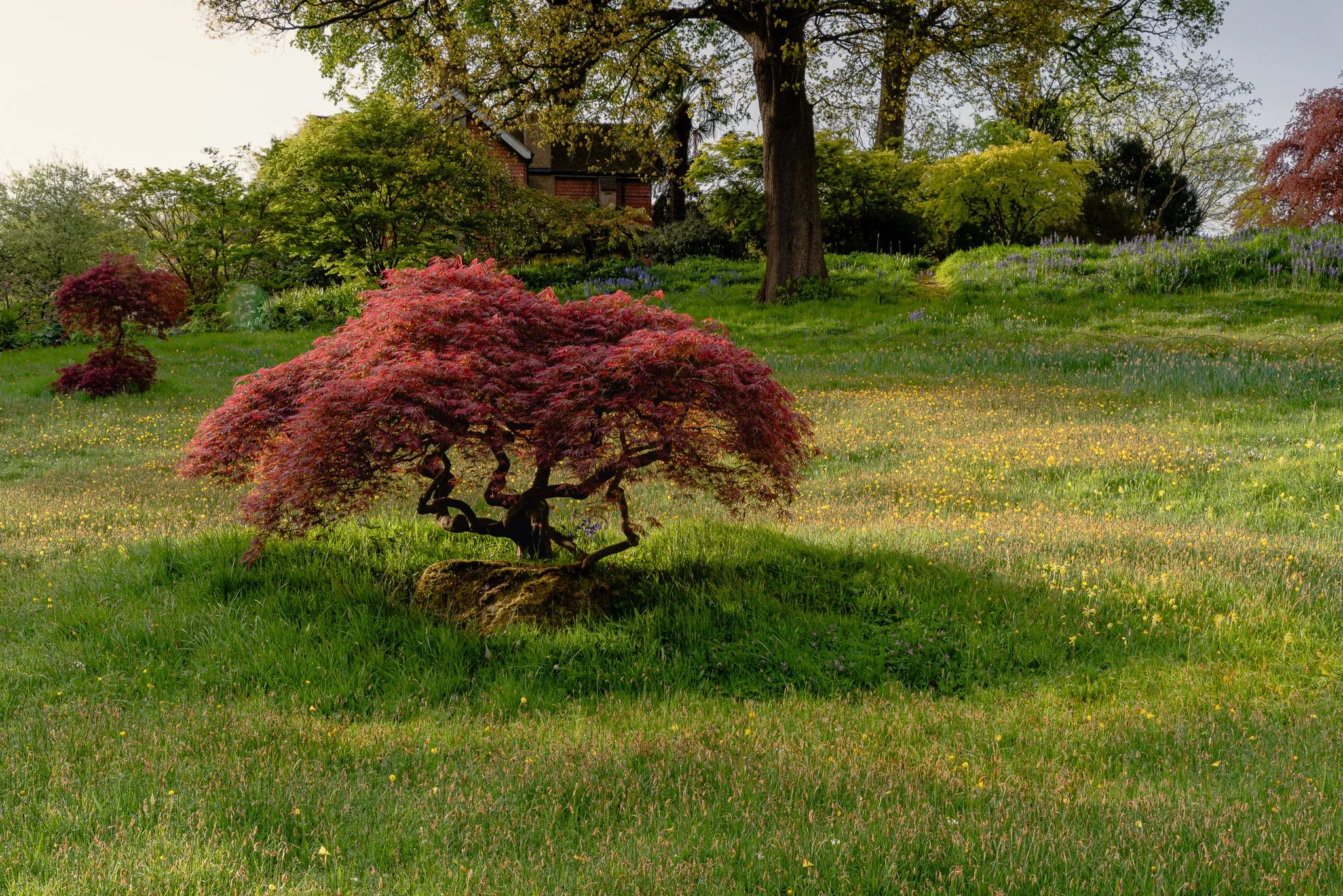 LargeGarden-19.jpg