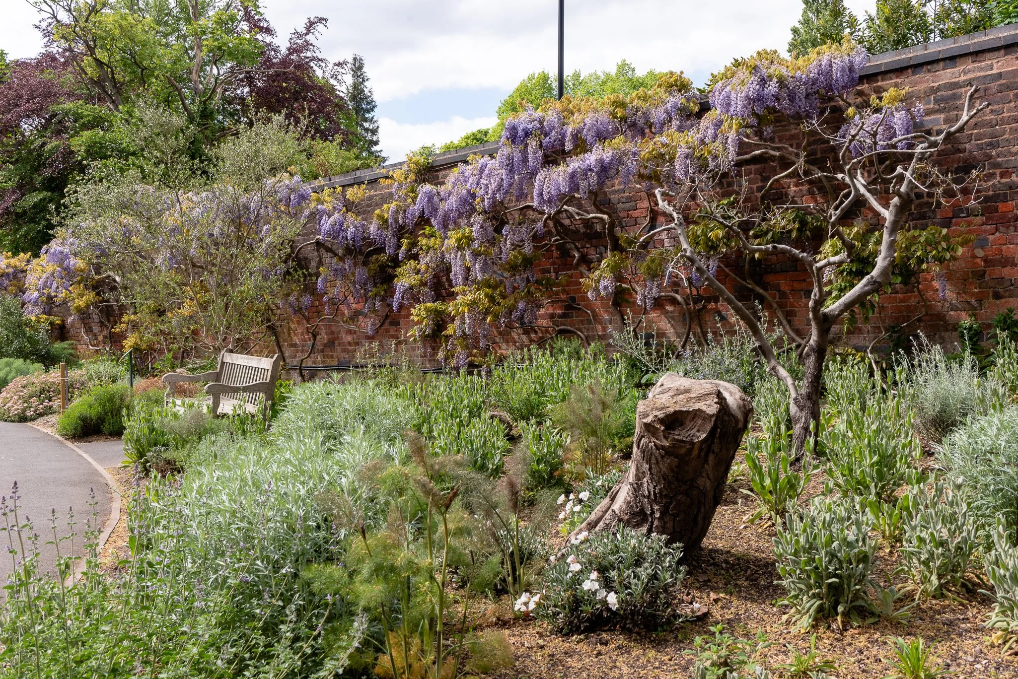 LargeGarden-7.jpg
