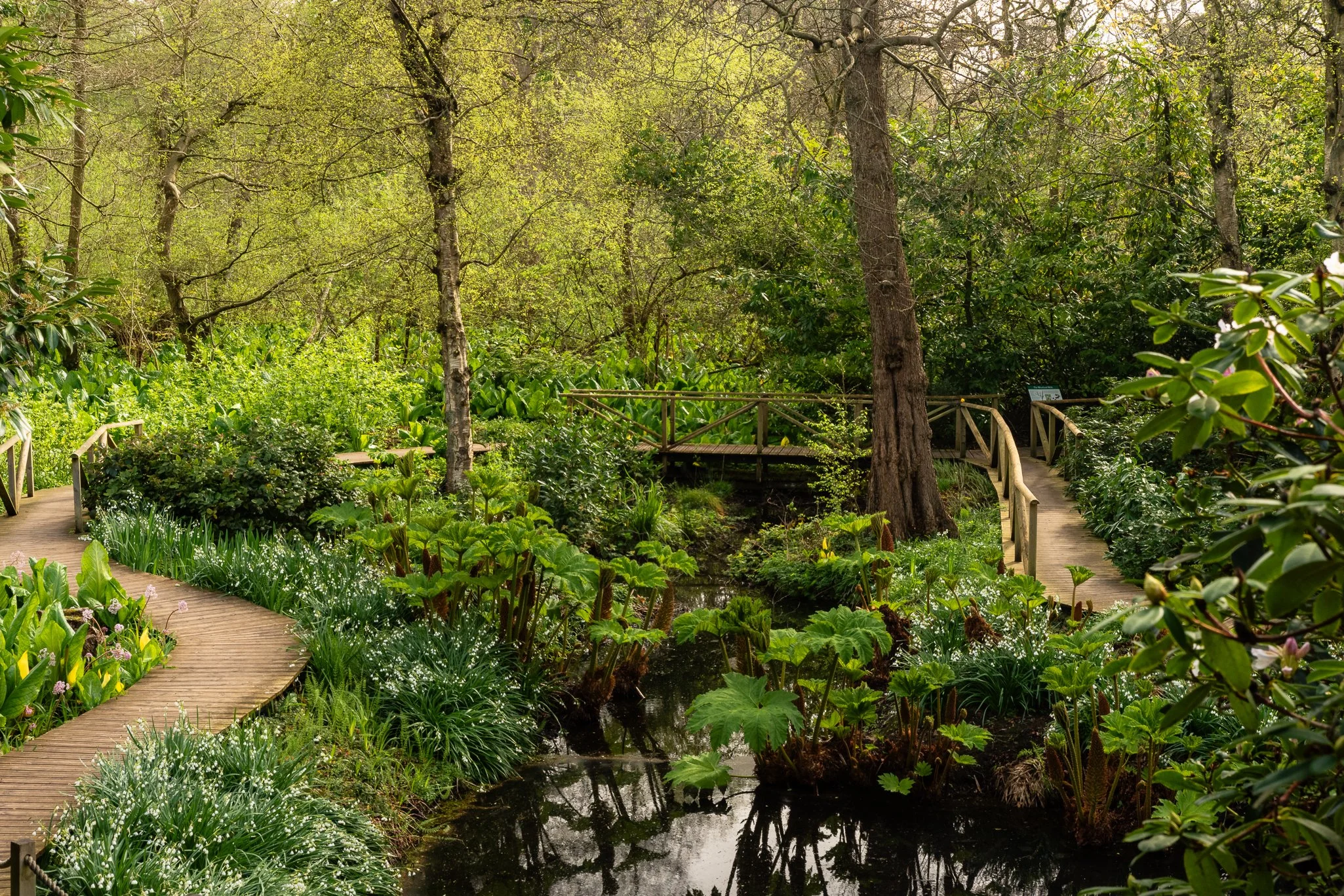 LargeGarden-10.jpg