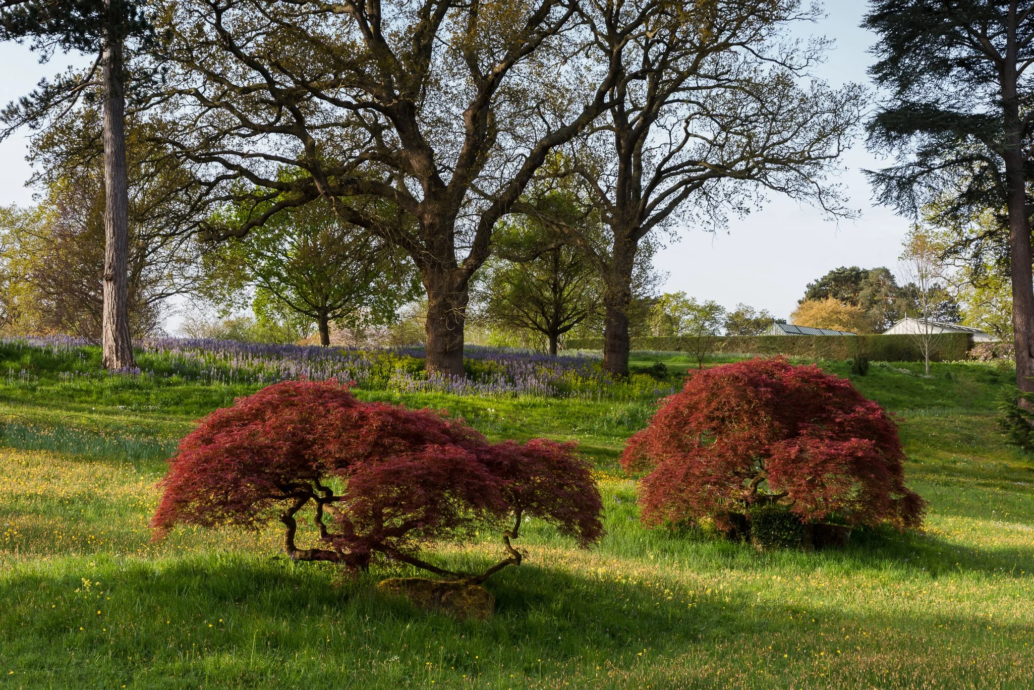 LargeGarden-20.jpg