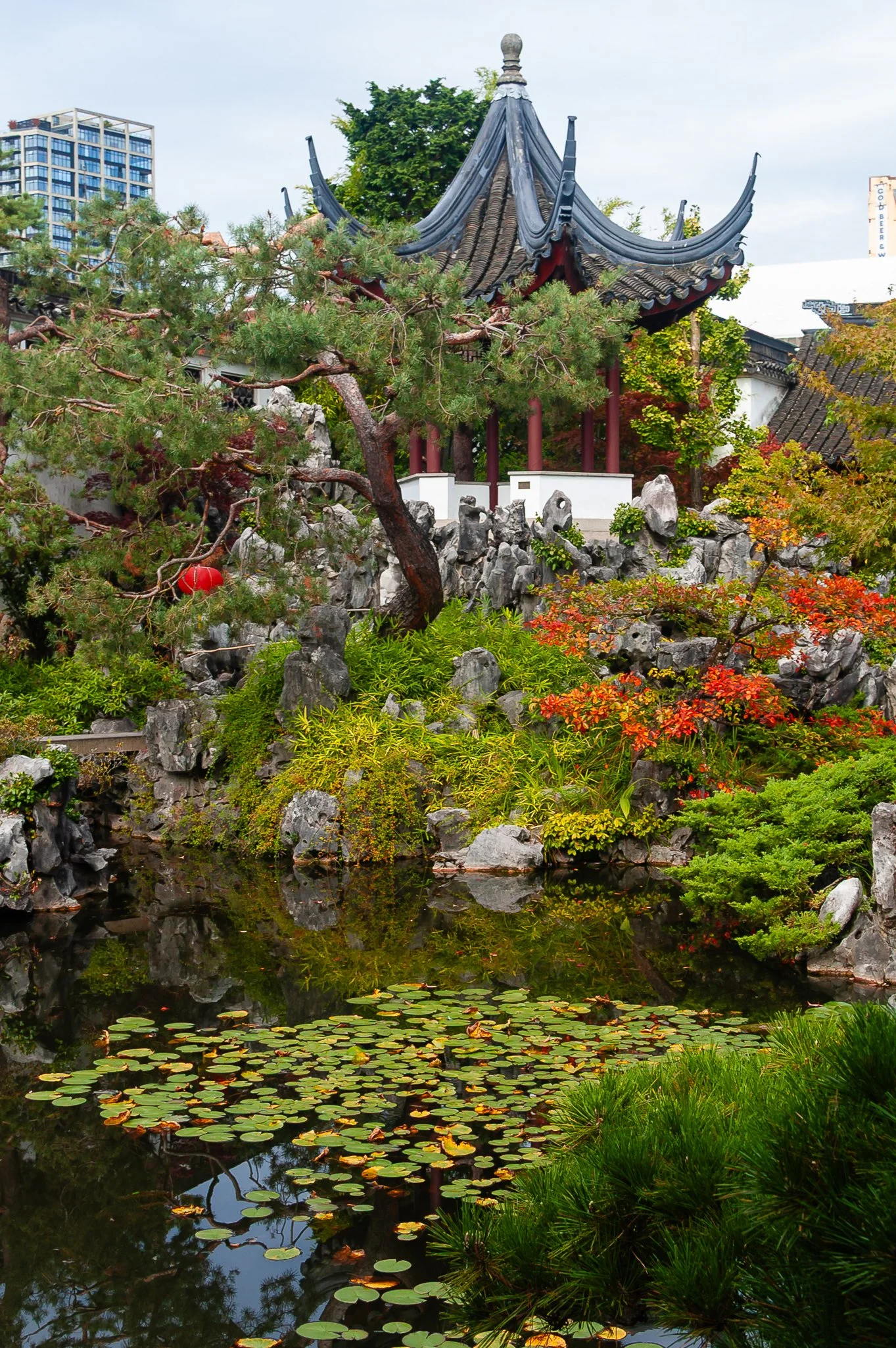 LargeGarden-32.jpg