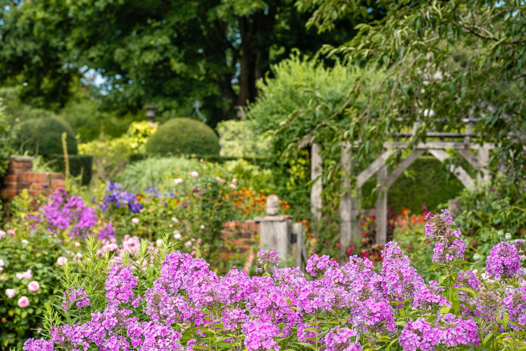 LargeGarden-23.jpg
