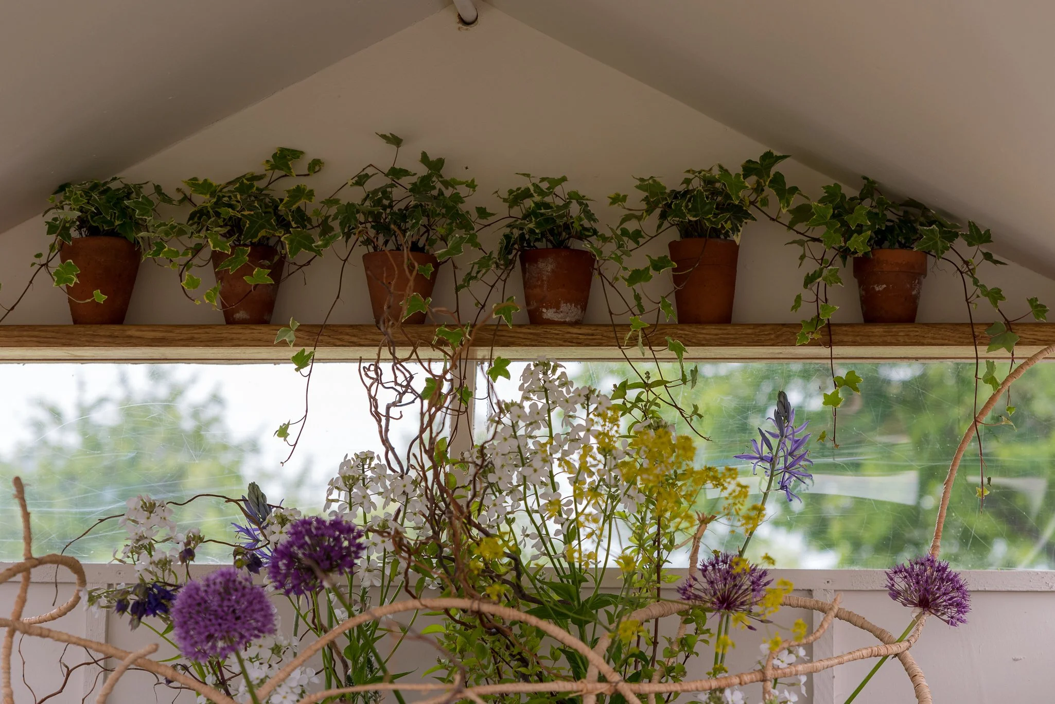 Plants-18.jpg