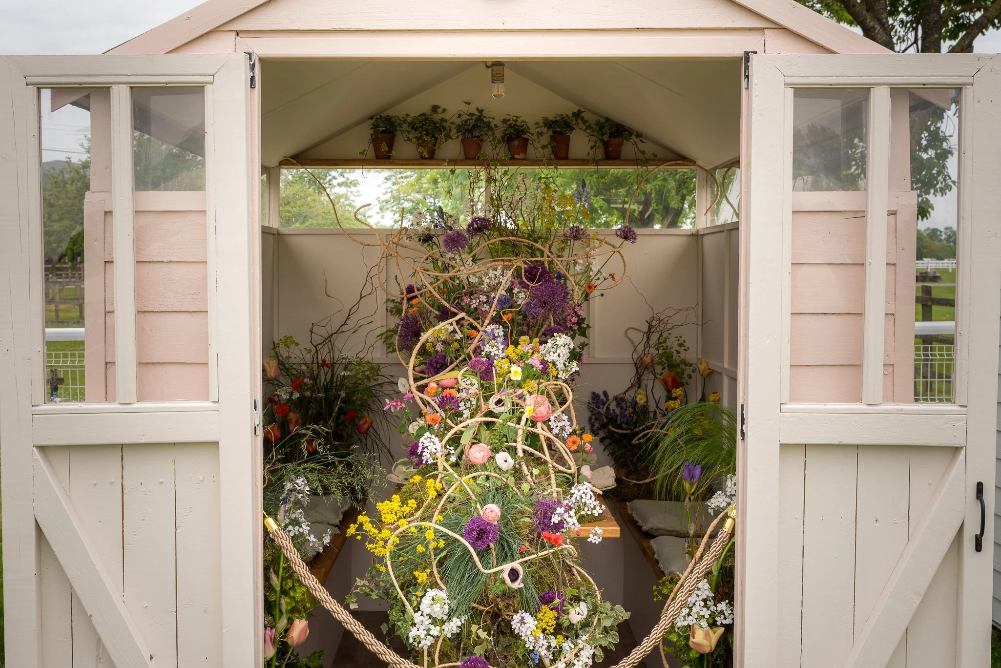 Plants-15.jpg