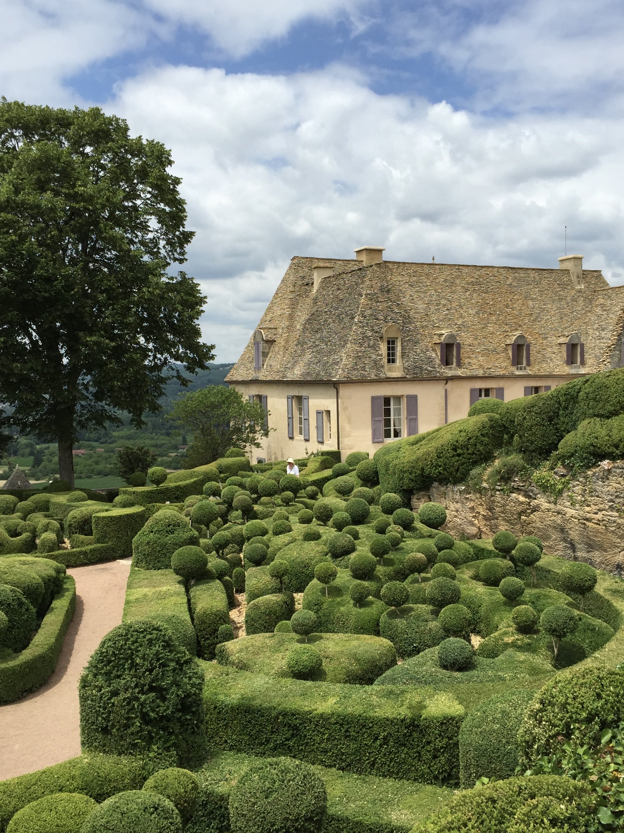 The Jardins of Marqueyssac, France. Photographed from an elevated position, the foreground features a naturalistic swathe of box topiary, shaped like hills & clouds of the Dordogne region. A peach coloured chateaux in the background.