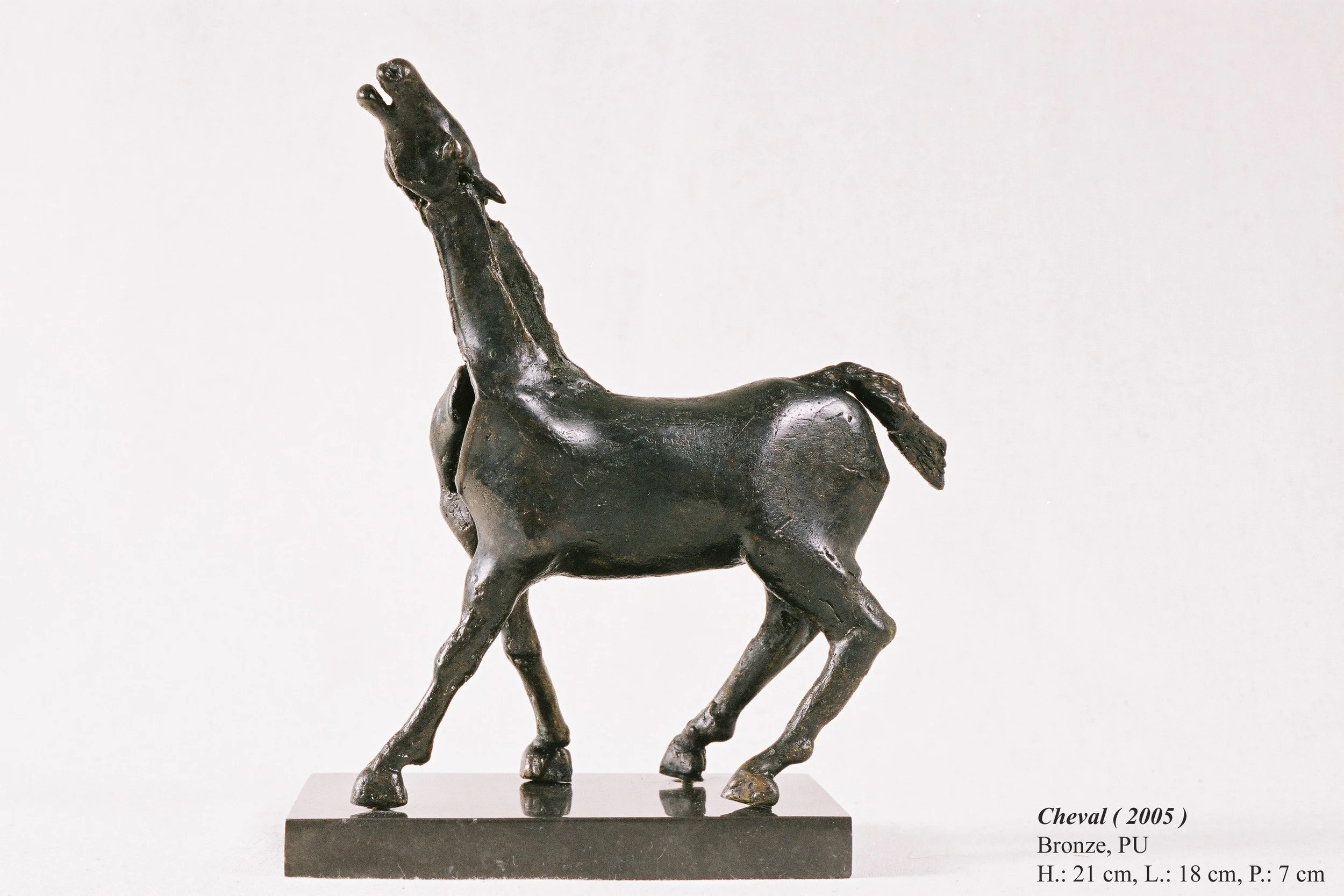 bronze©Maya Eneva Cheval (3).jpg