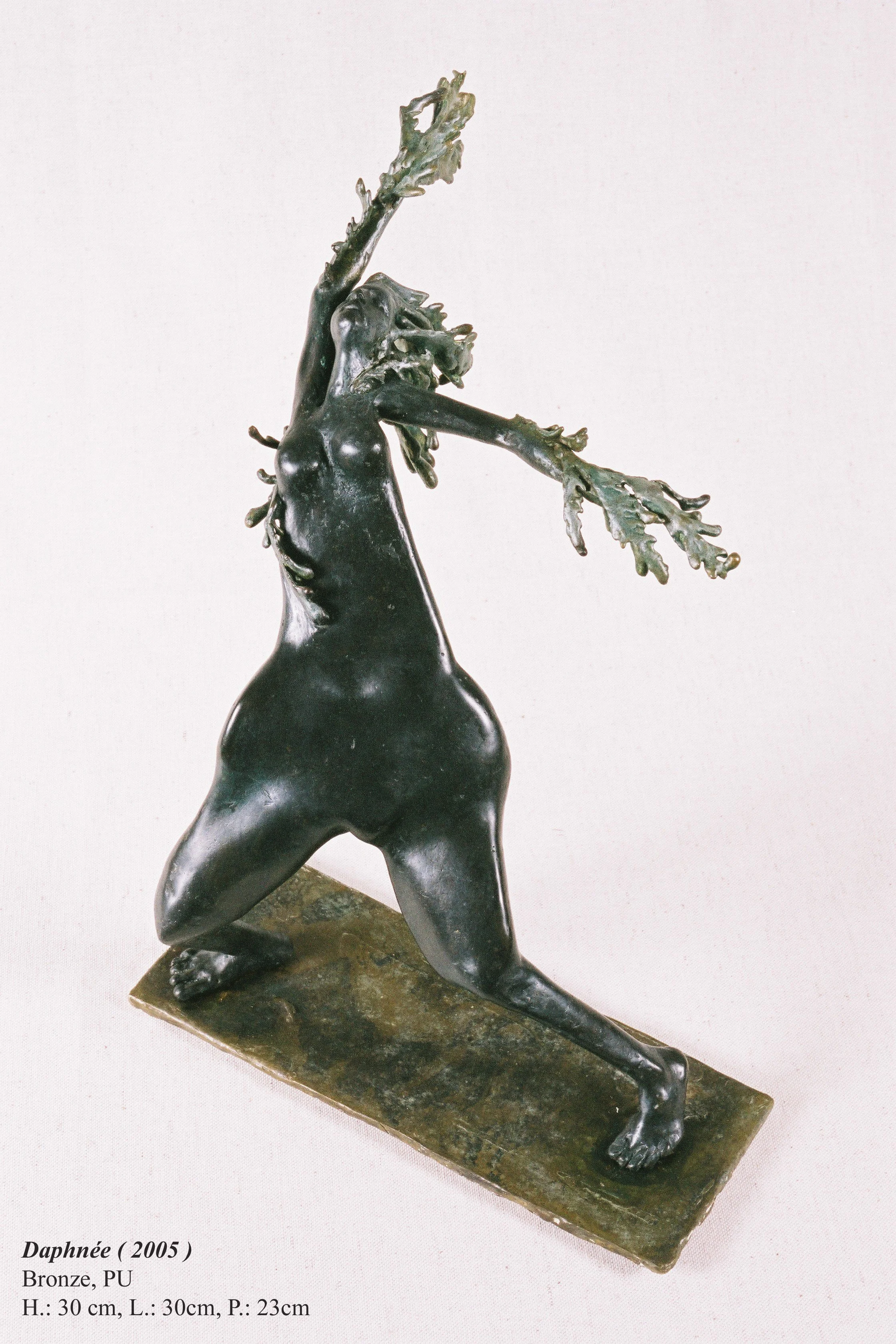 bronze©Maya Eneva Daphnee.jpg